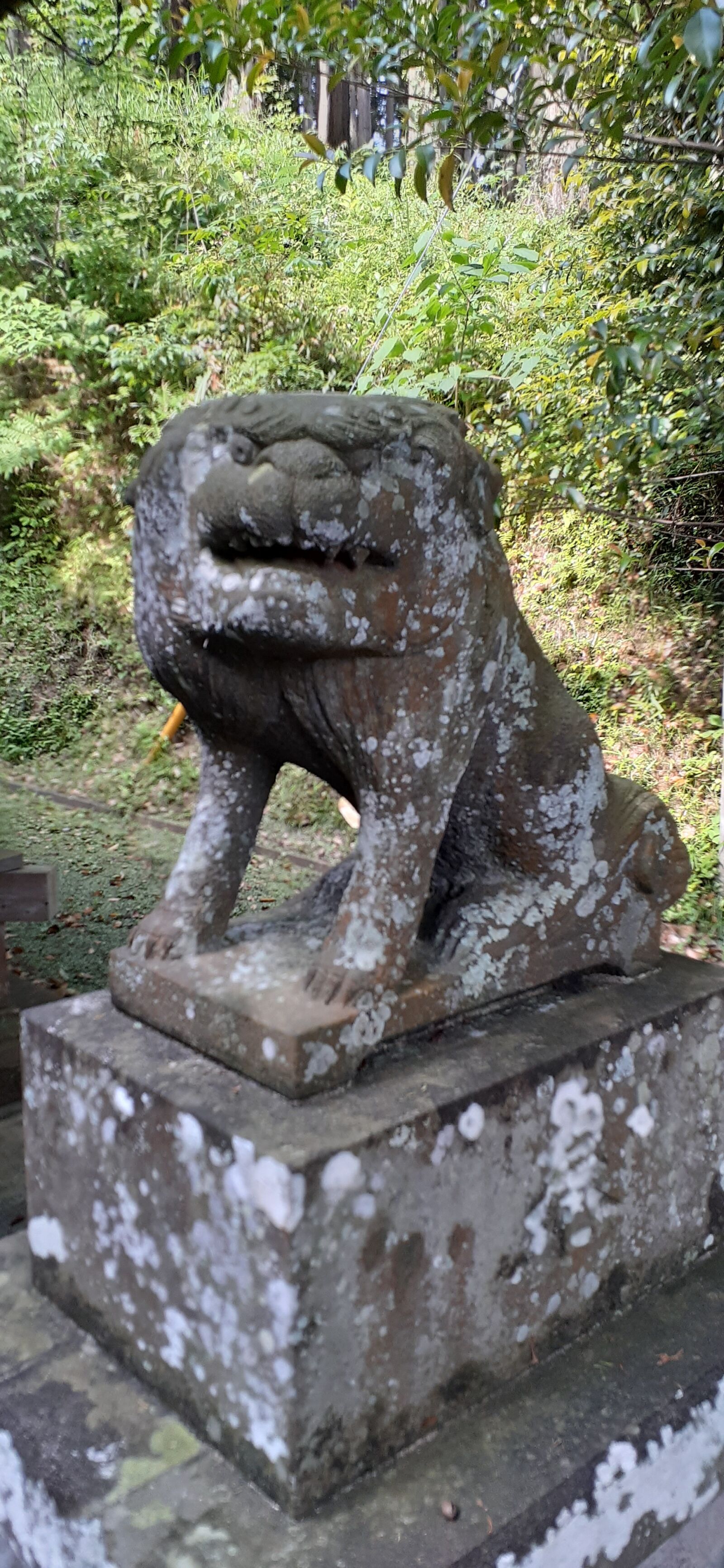 Samsung Galaxy A30 sample photo. Kannami, shrine, japan photography