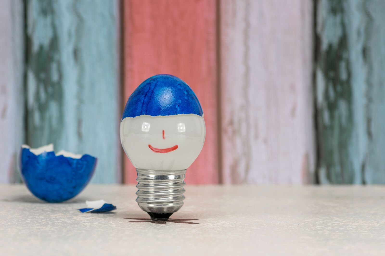 Nikon D7200 sample photo. Light bulb, eggshell, version photography