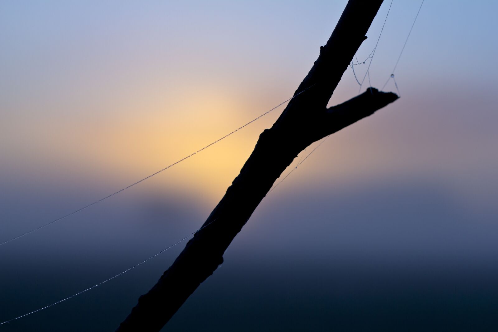 Canon EOS 550D (EOS Rebel T2i / EOS Kiss X4) + Canon EF 50mm F1.8 II sample photo. Fog, dawn, landscape photography