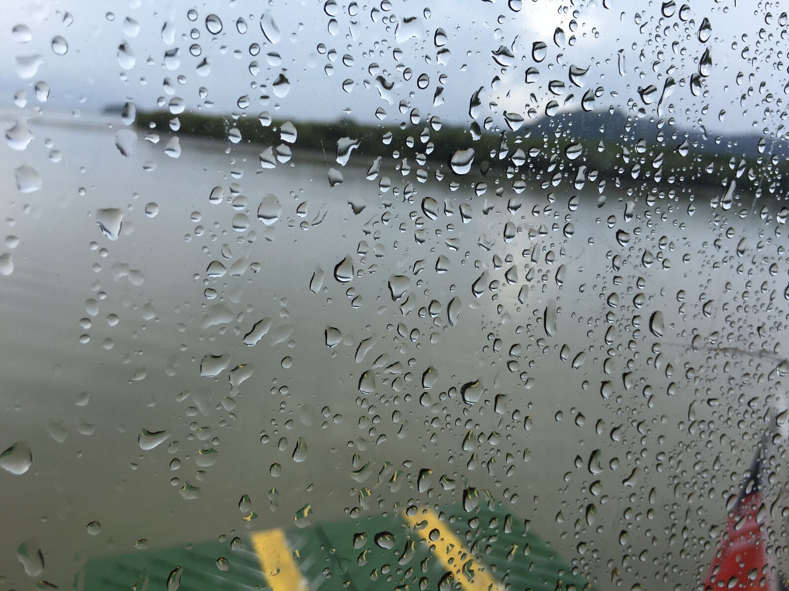 Apple iPhone 6s sample photo. Rain, raindrops, droplet photography