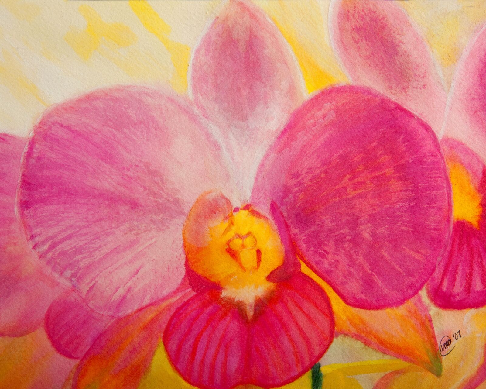 Nikon D700 sample photo. Iris, lily, orchid photography