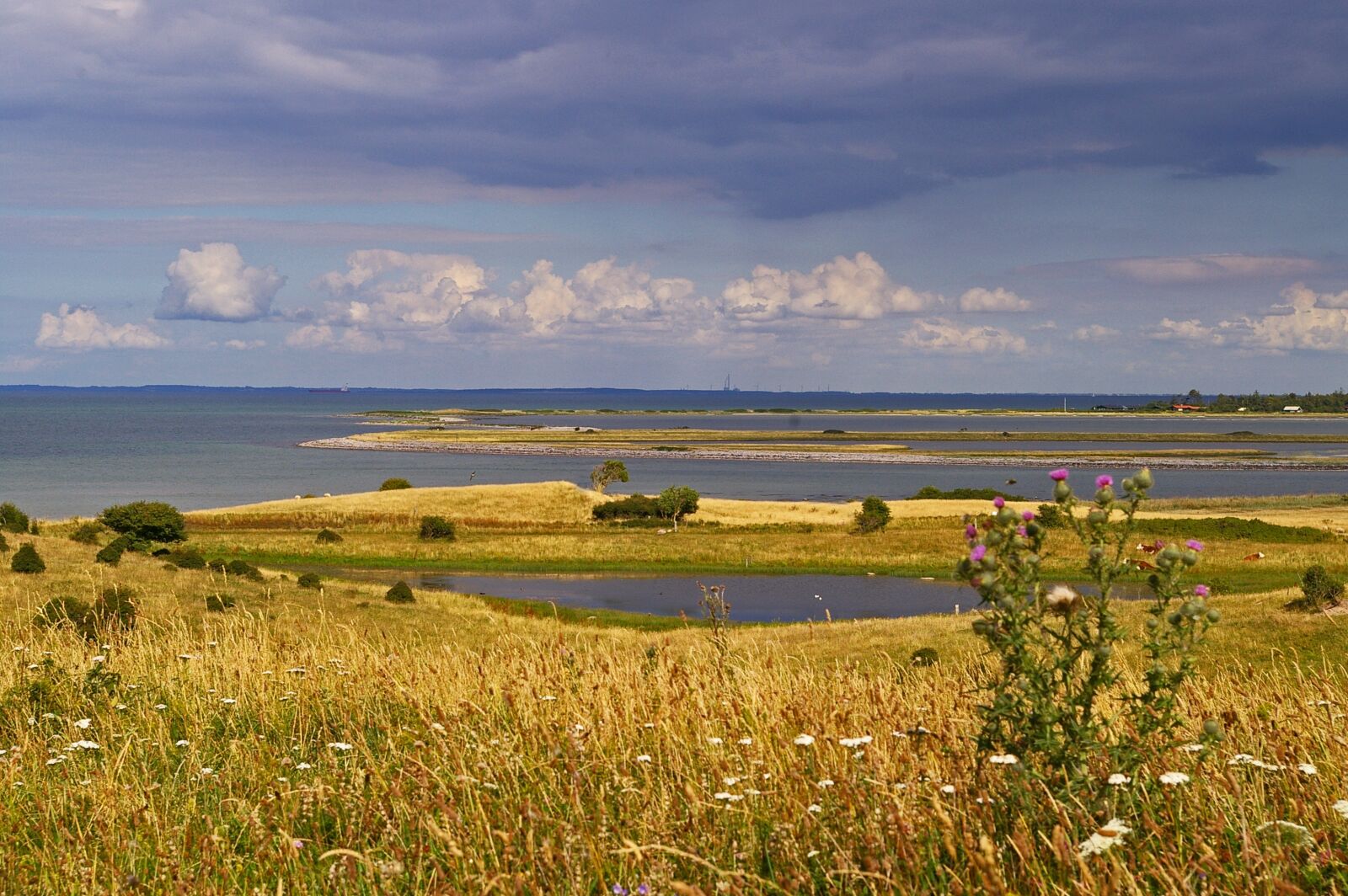Pentax *ist DL2 sample photo. Denmark, danish coast, island photography