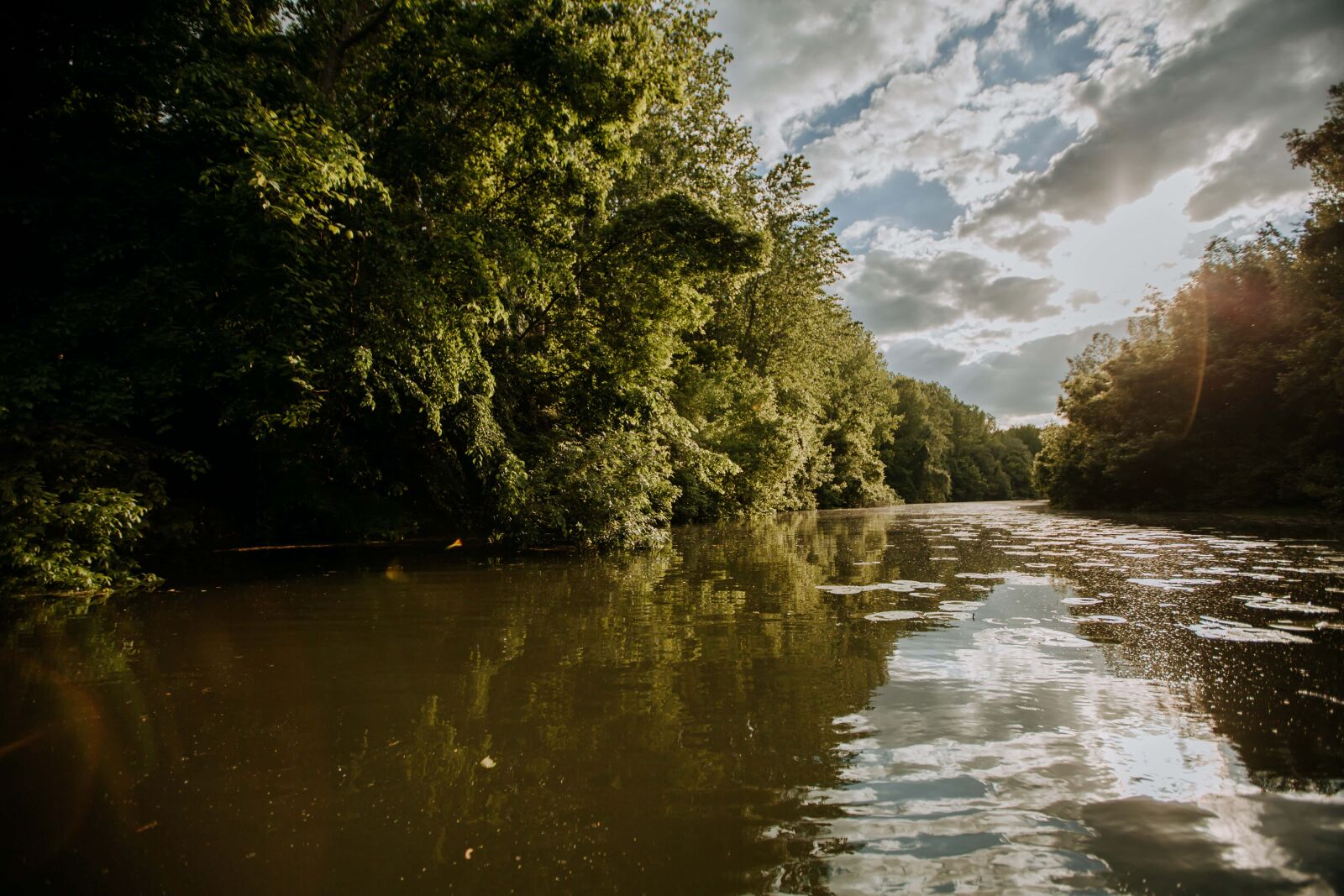 Canon EF 16-35mm F2.8L II USM sample photo. Sunrays, swamp, sunscreen, sunny photography