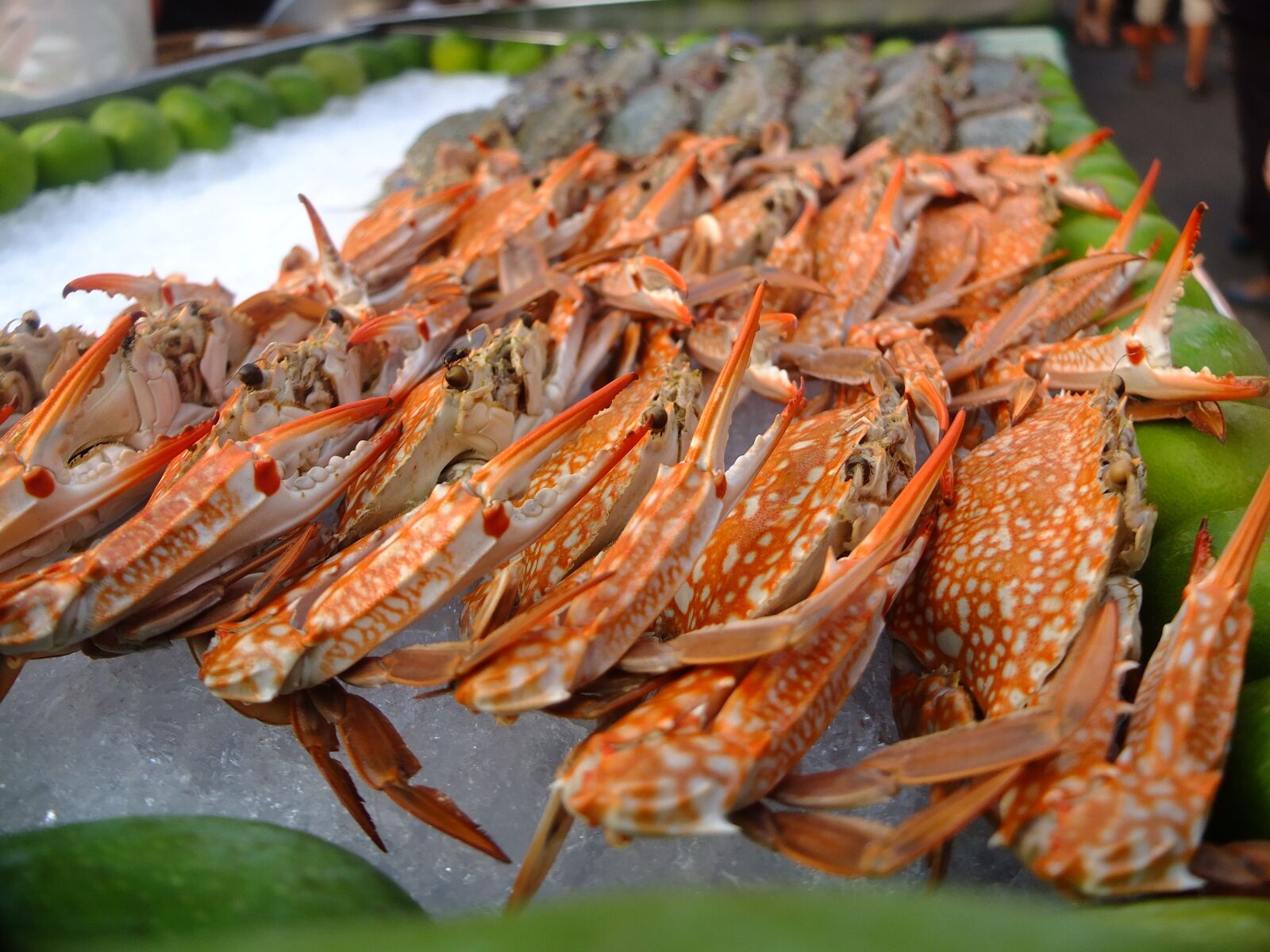Fujifilm X10 sample photo. Crab, food, steamed crabs photography