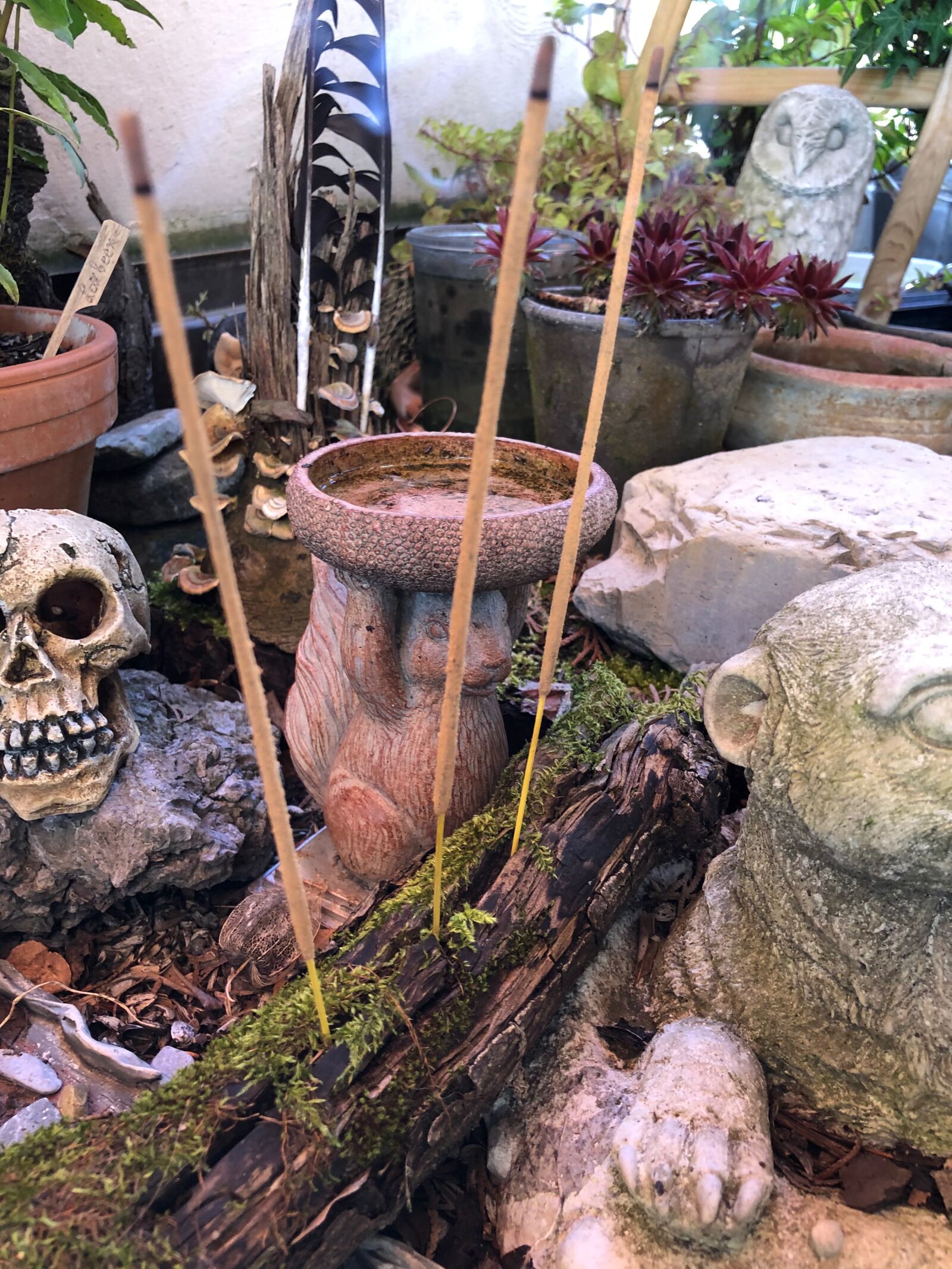 iPhone 8 Plus back dual camera 3.99mm f/1.8 sample photo. Nature altar, altar, nature photography