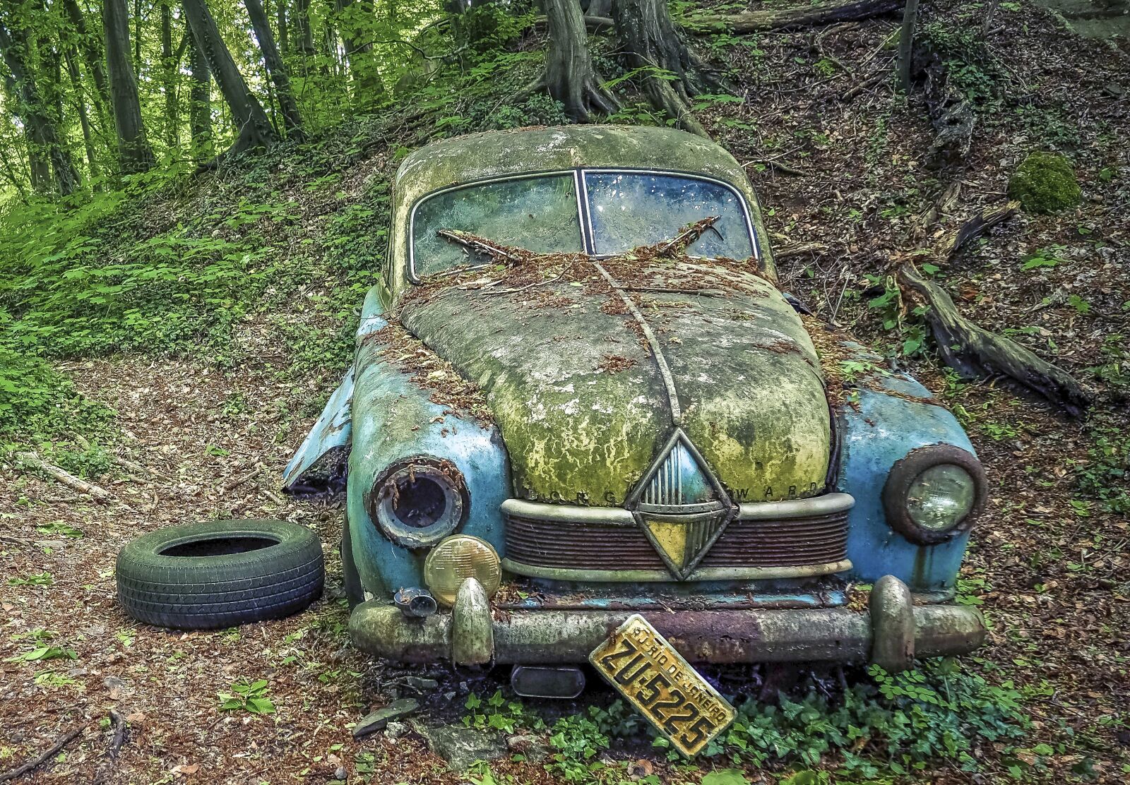 Olympus OM-D E-M10 sample photo. Auto, car cemetery, oldtimer photography