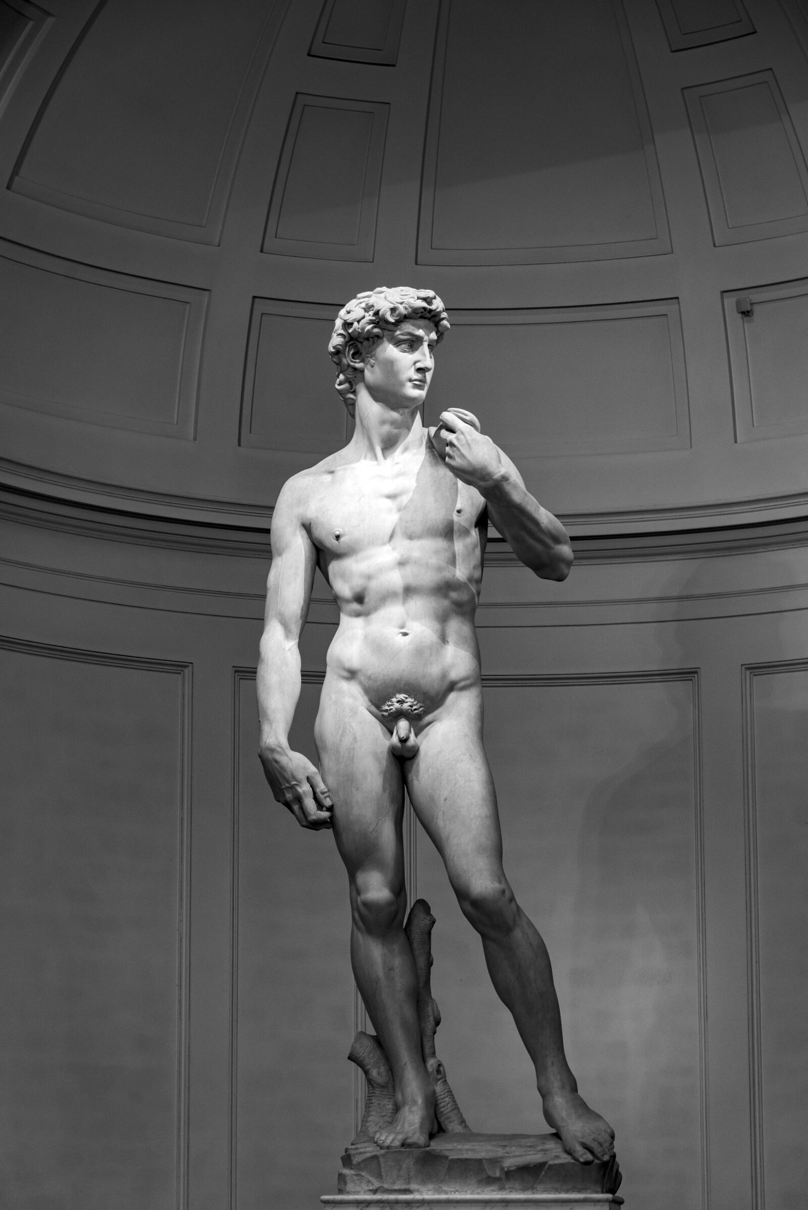 Nikon D600 sample photo. David, michelangelo, florence photography