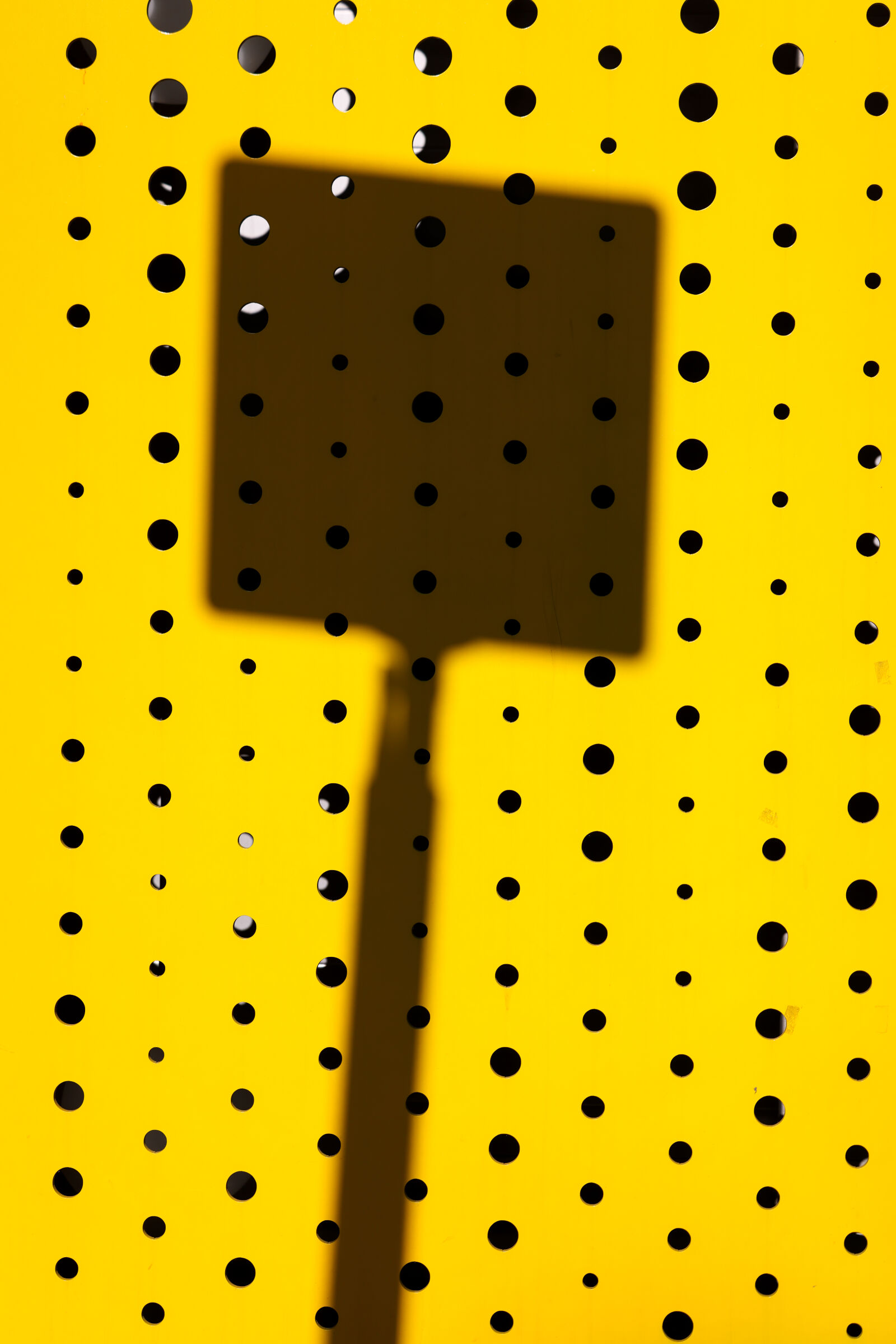 Canon RF 50mm F1.2L USM sample photo. Yellow dot shadow photography