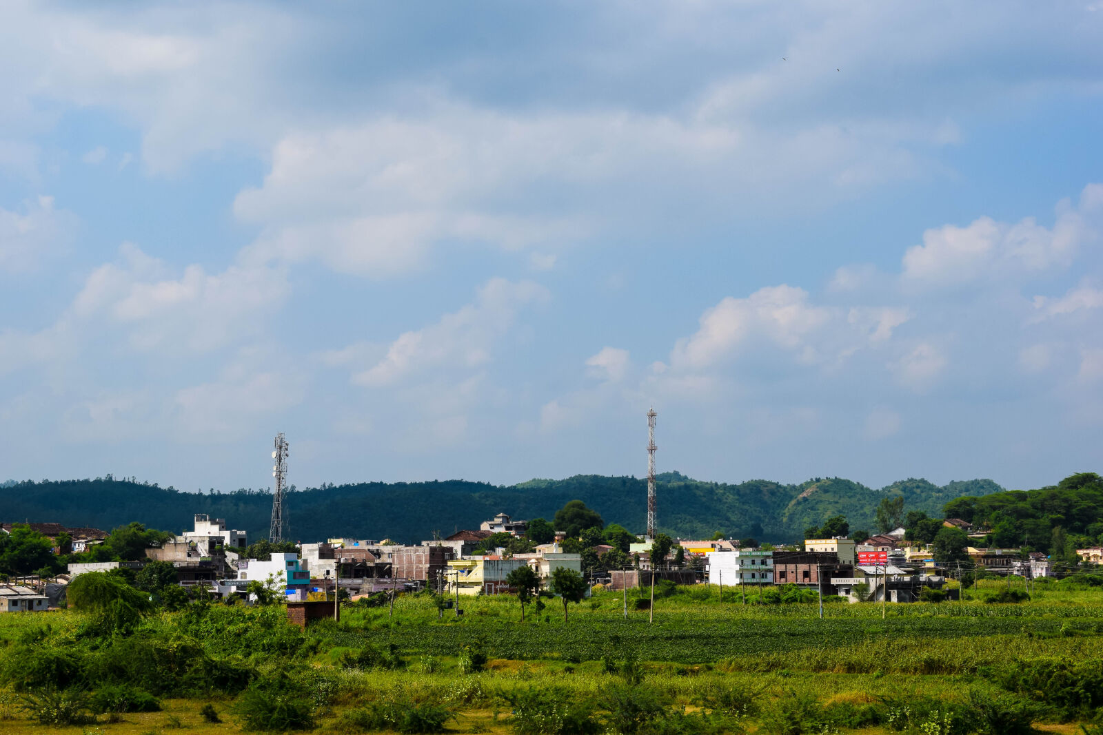 Nikon D3300 sample photo. Beautiful, close, up, view photography