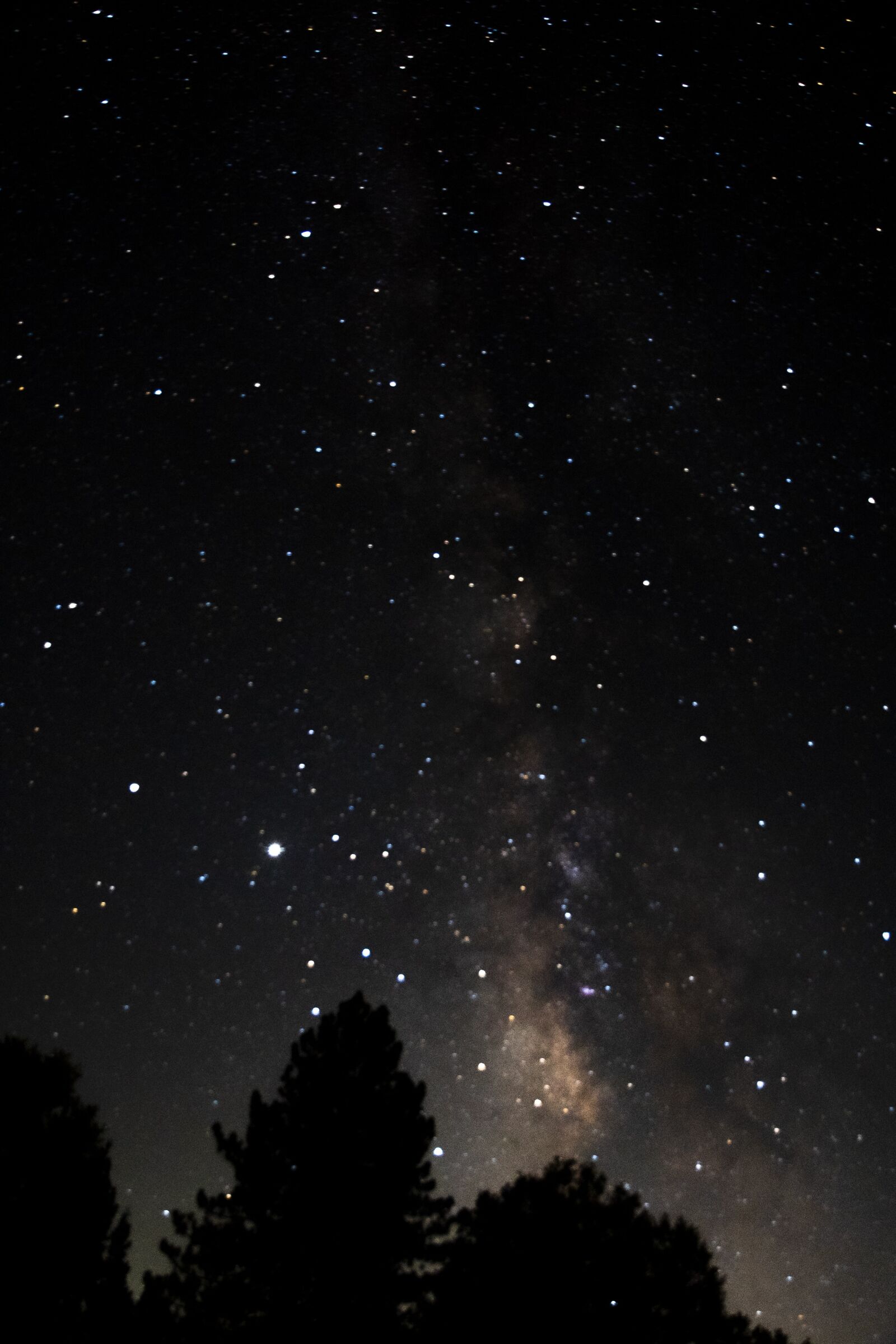 Nikon D750 sample photo. Stars, milky way, sky photography