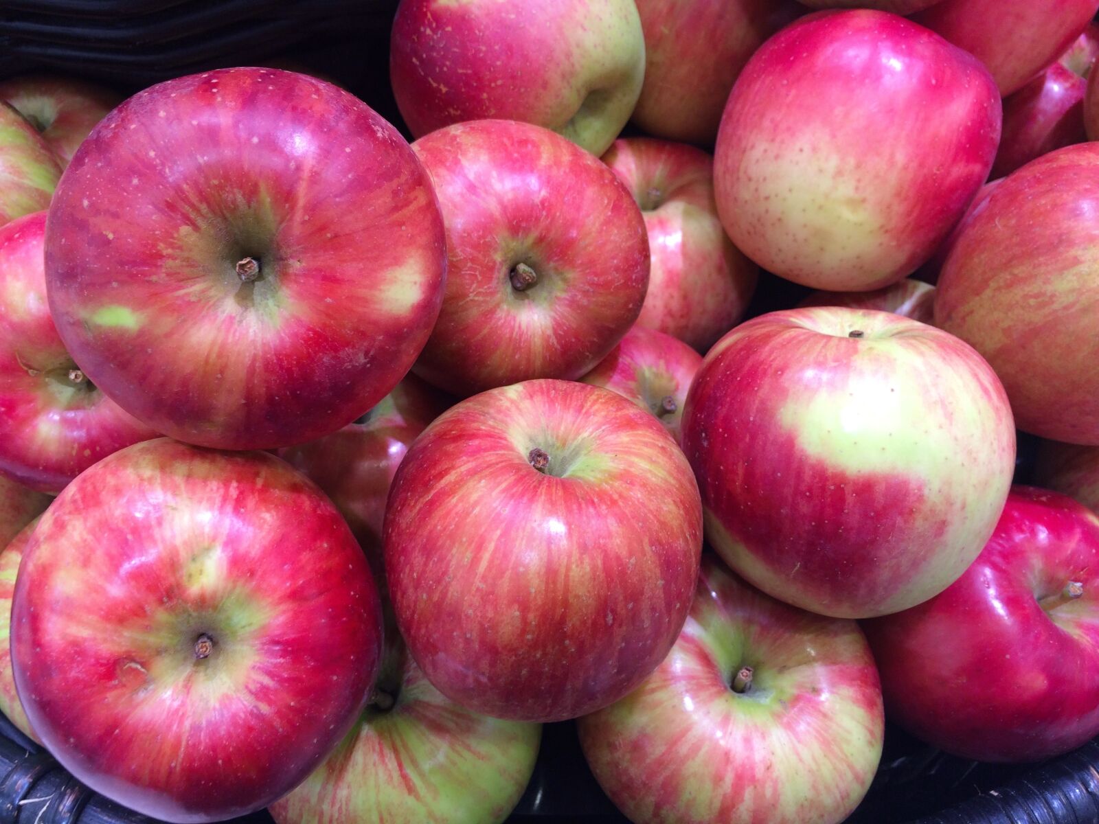 iPhone 5s back camera 4.15mm f/2.2 sample photo. Apple, red, young and photography