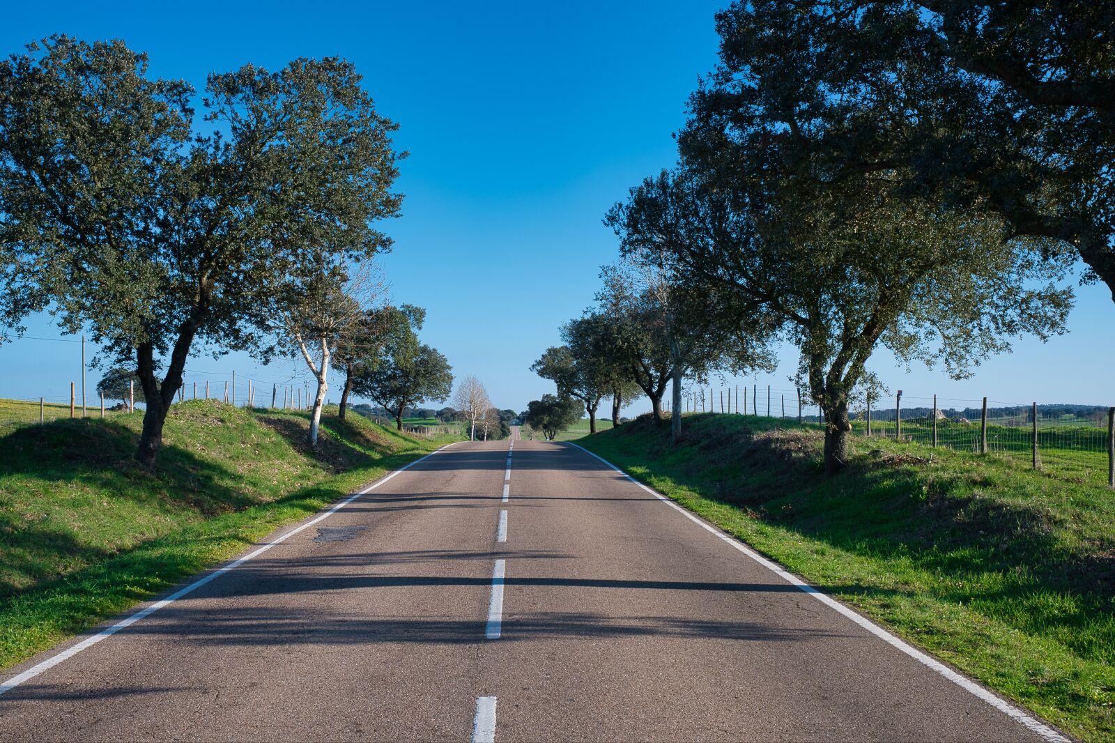 Nikon Nikkor Z 24-70mm F2.8 S sample photo. Alentejo, landscape, travel photography