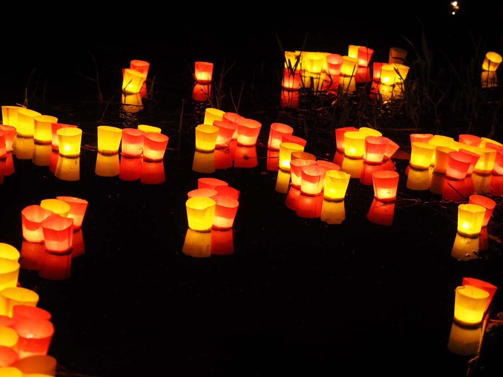 Olympus OM-D E-M1 + Olympus M.Zuiko Digital ED 12-40mm F2.8 Pro sample photo. Candles, lights serenade, river photography