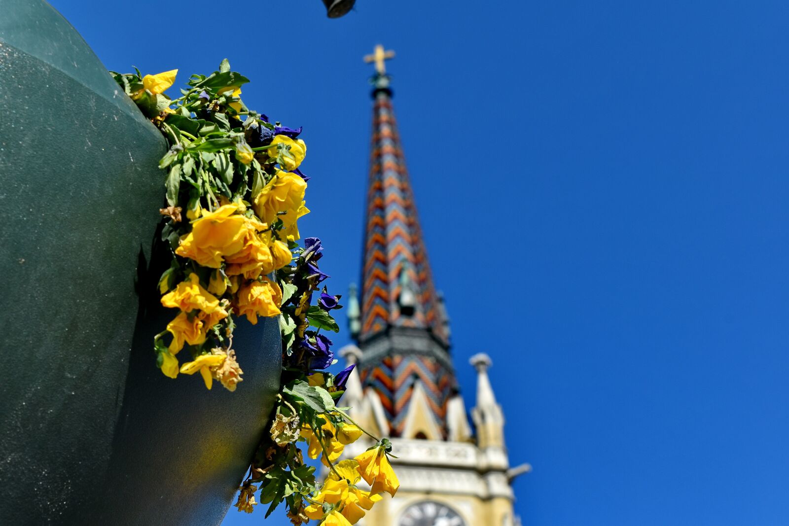 Nikon D5500 sample photo. Church tower, flowerpot, architecture photography