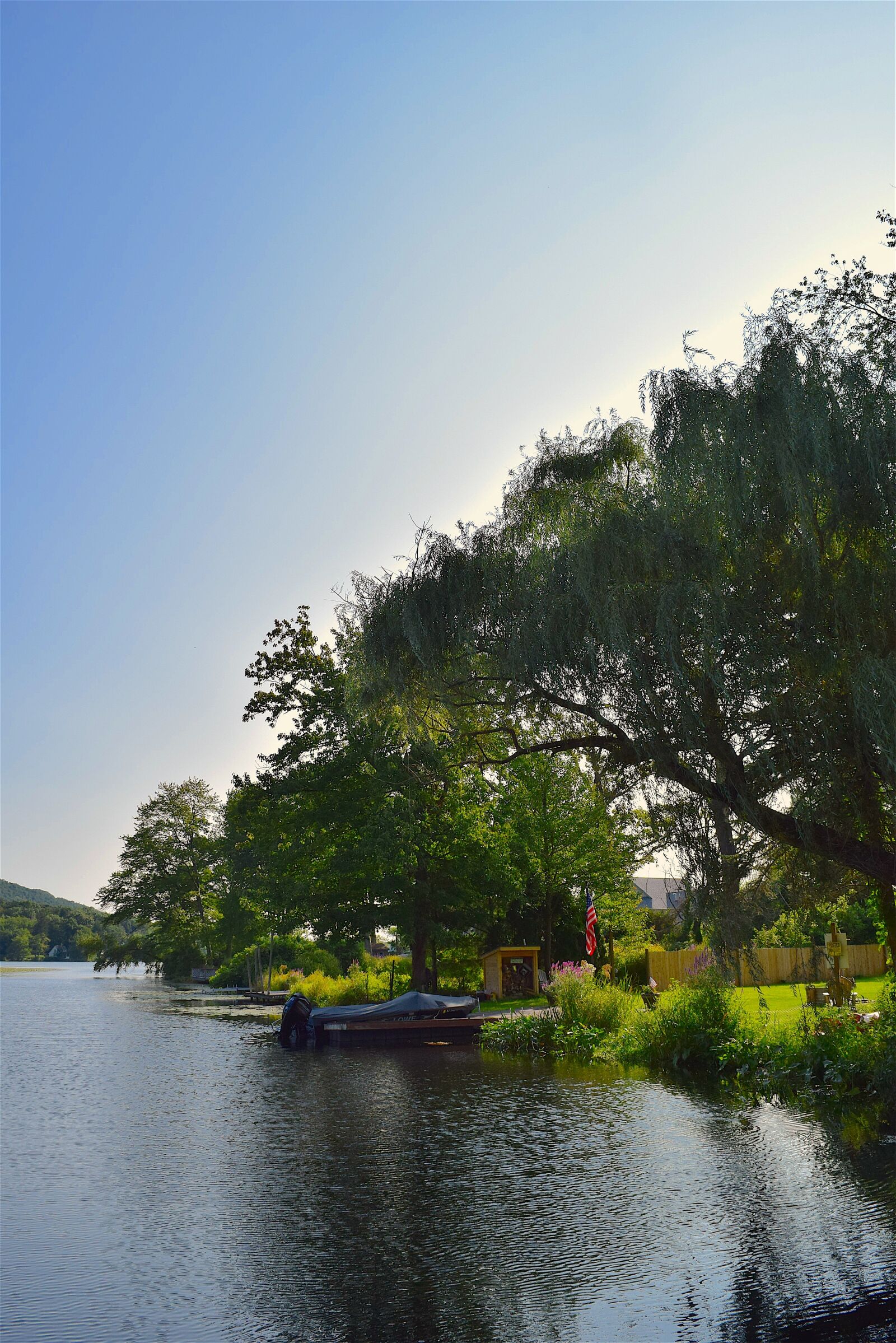 Nikon D3300 sample photo. Lake, sunrise, tree photography