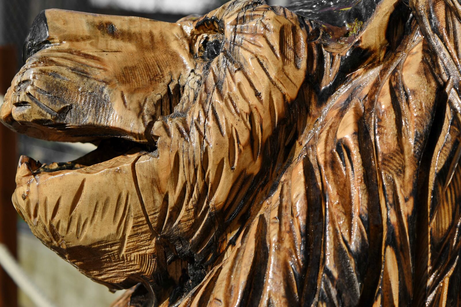 Nikon D5500 sample photo. Lion, wooden, sculpture, carving photography