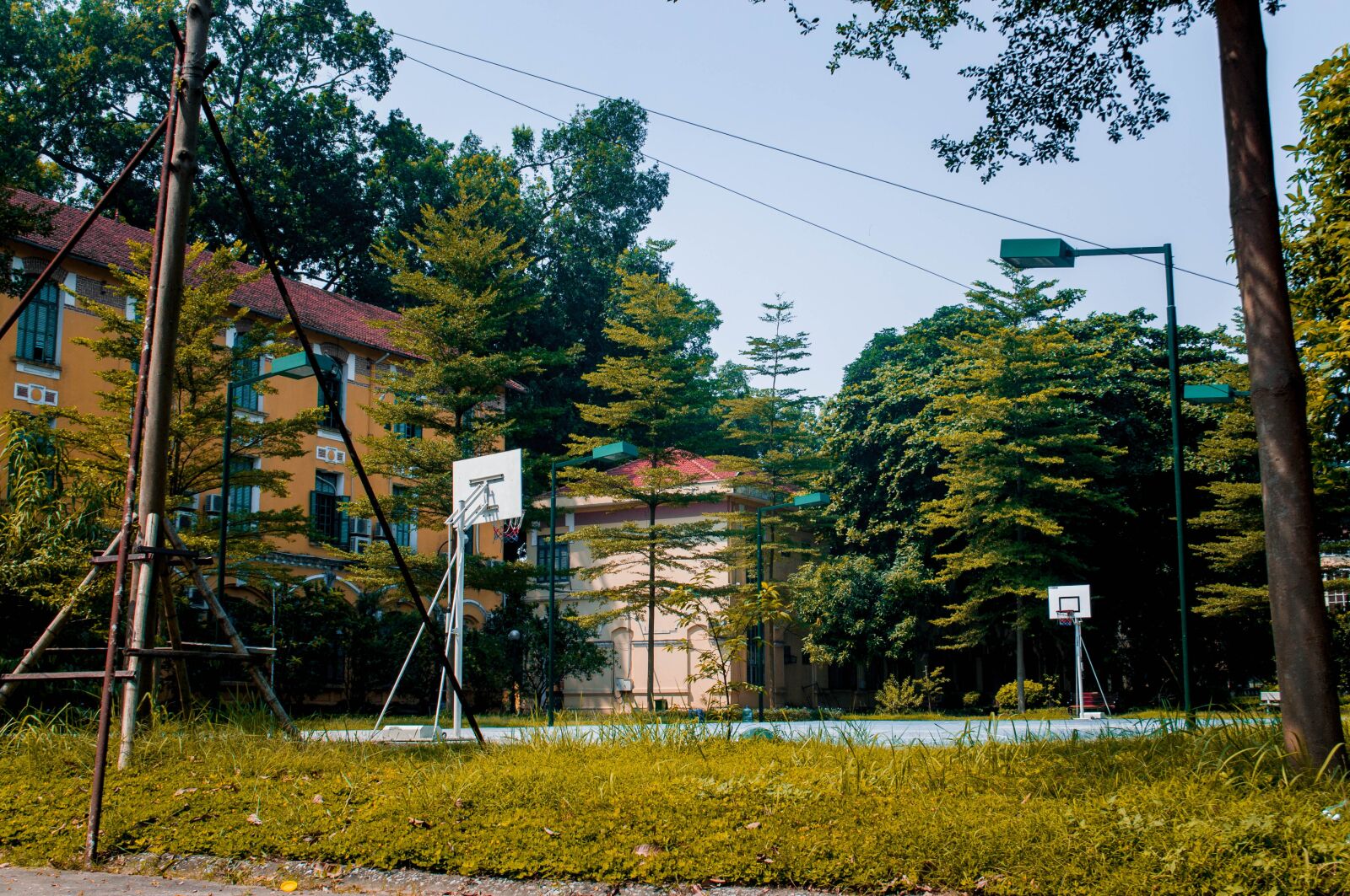 Nikon D90 sample photo. Autumn, school, old photography