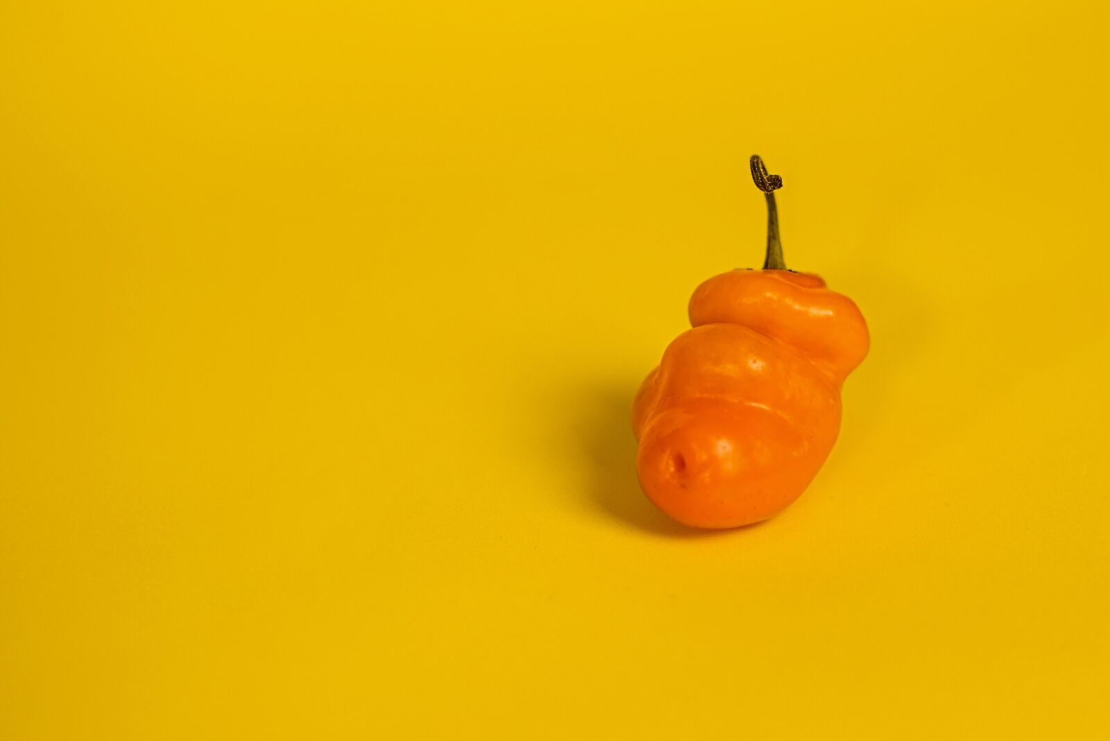 Nikon D750 sample photo. Food, red, tomato photography