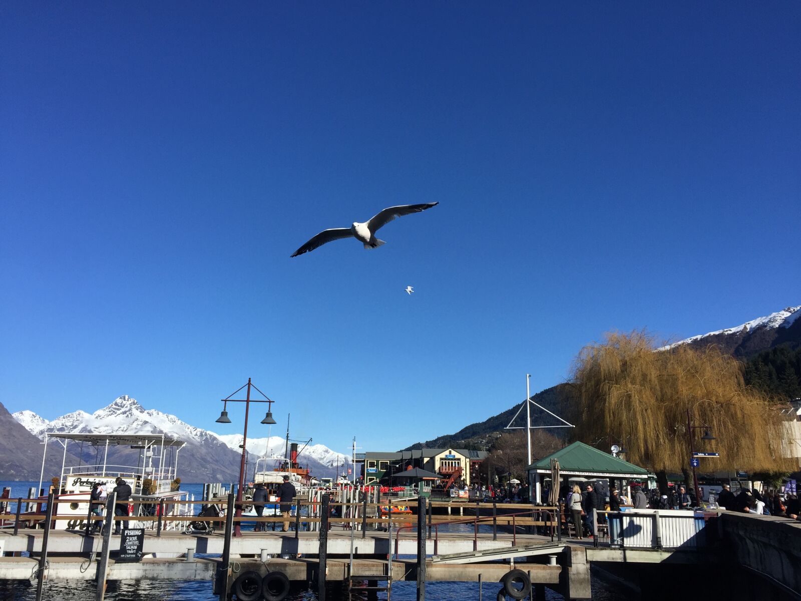 iPhone 6 back camera 4.15mm f/2.2 sample photo. Queenstown new zealand, the photography