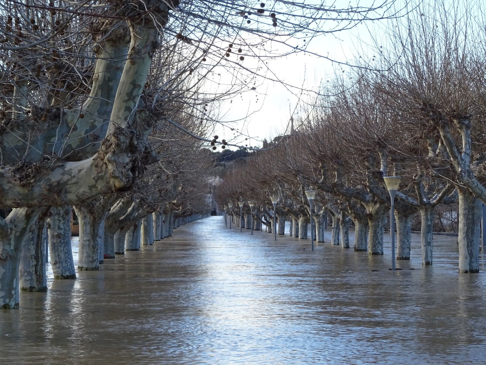 Sony DSC-HX60 sample photo. Flood, walk, water photography