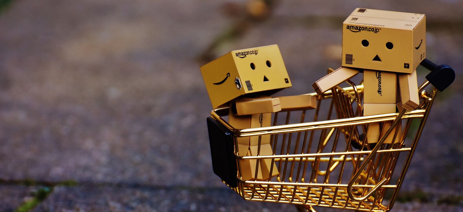 Nikon D7200 sample photo. Danbo, figures, shopping cart photography