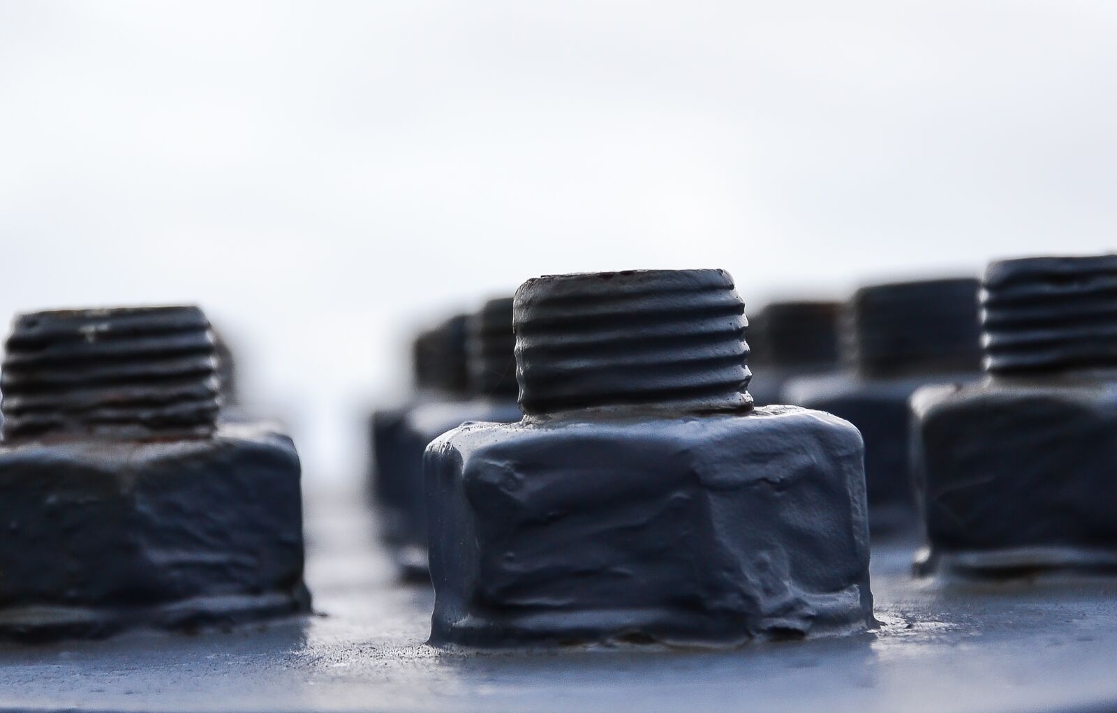 Nikon D3100 sample photo. Screw, bolt, metal photography