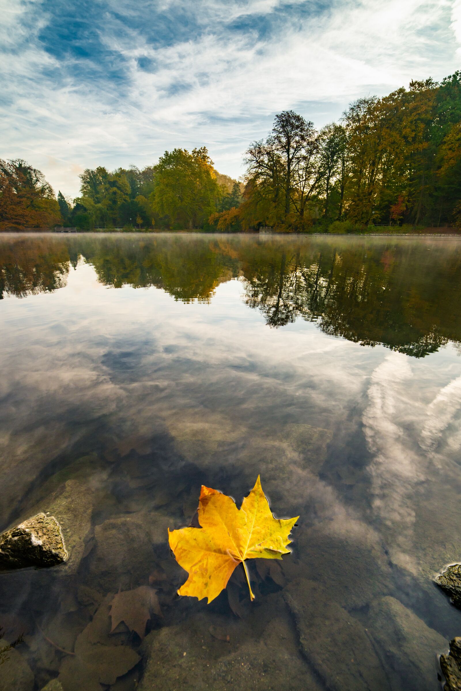 Nikon D600 sample photo. Autumn, leaf, nature photography