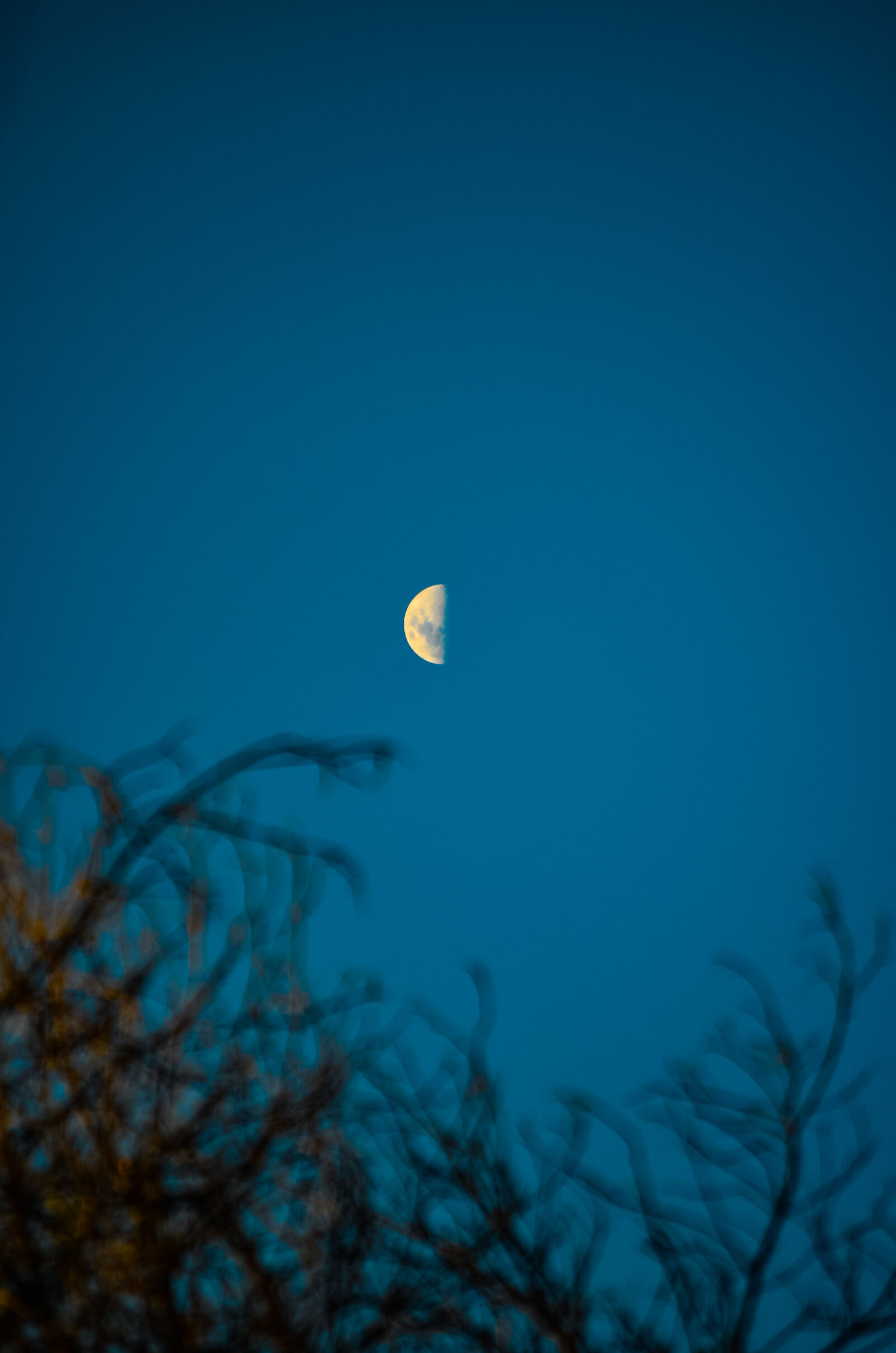 Nikon D5100 sample photo. Half moon in the photography