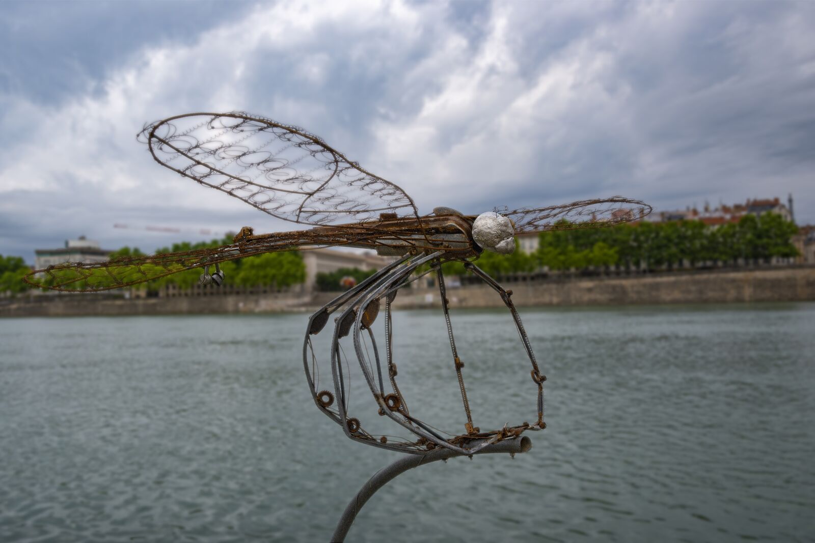 Nikon Z 50 sample photo. Sculpture, dragonfly, water photography