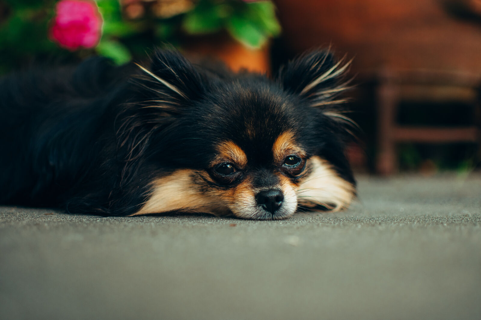 Nikon D3400 sample photo