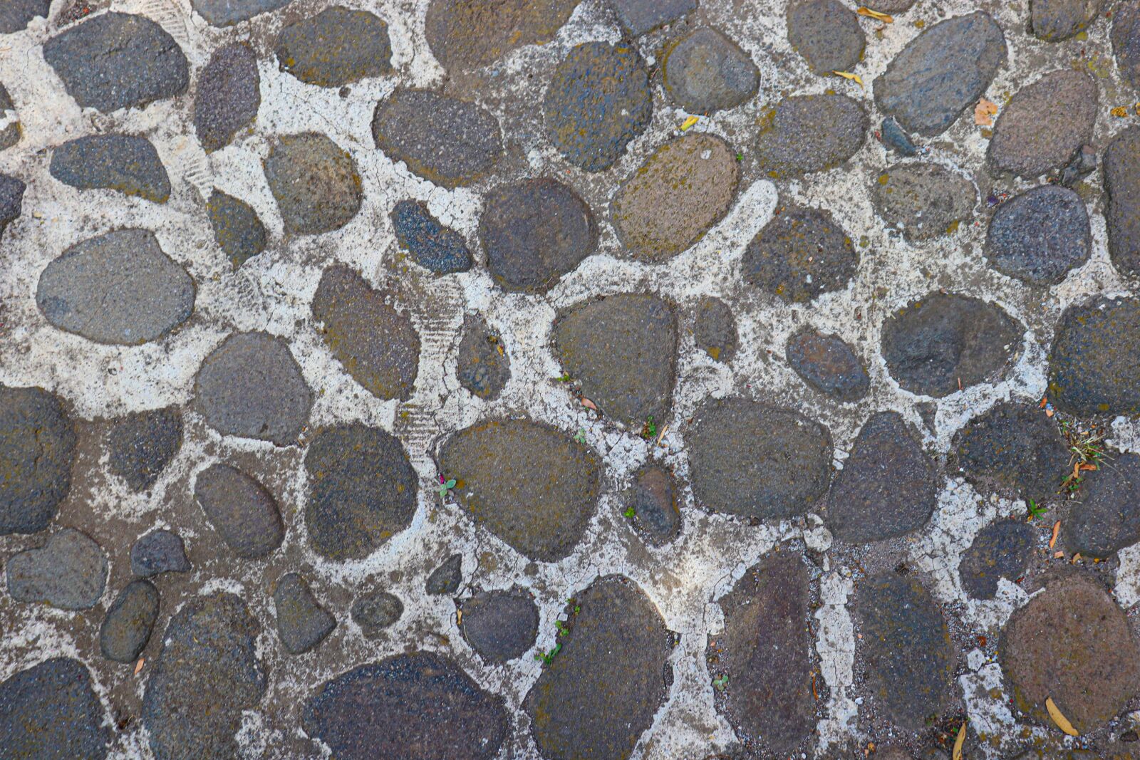 Canon EOS 200D (EOS Rebel SL2 / EOS Kiss X9) sample photo. Texture, stones, floors photography