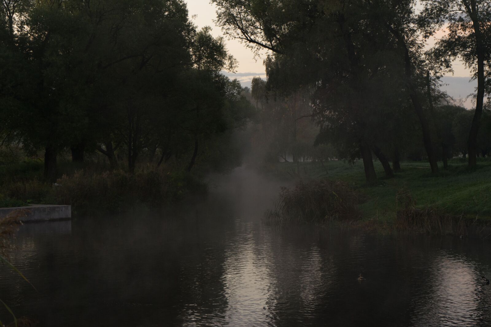 Sony a7 II sample photo. Fog, channel, river photography