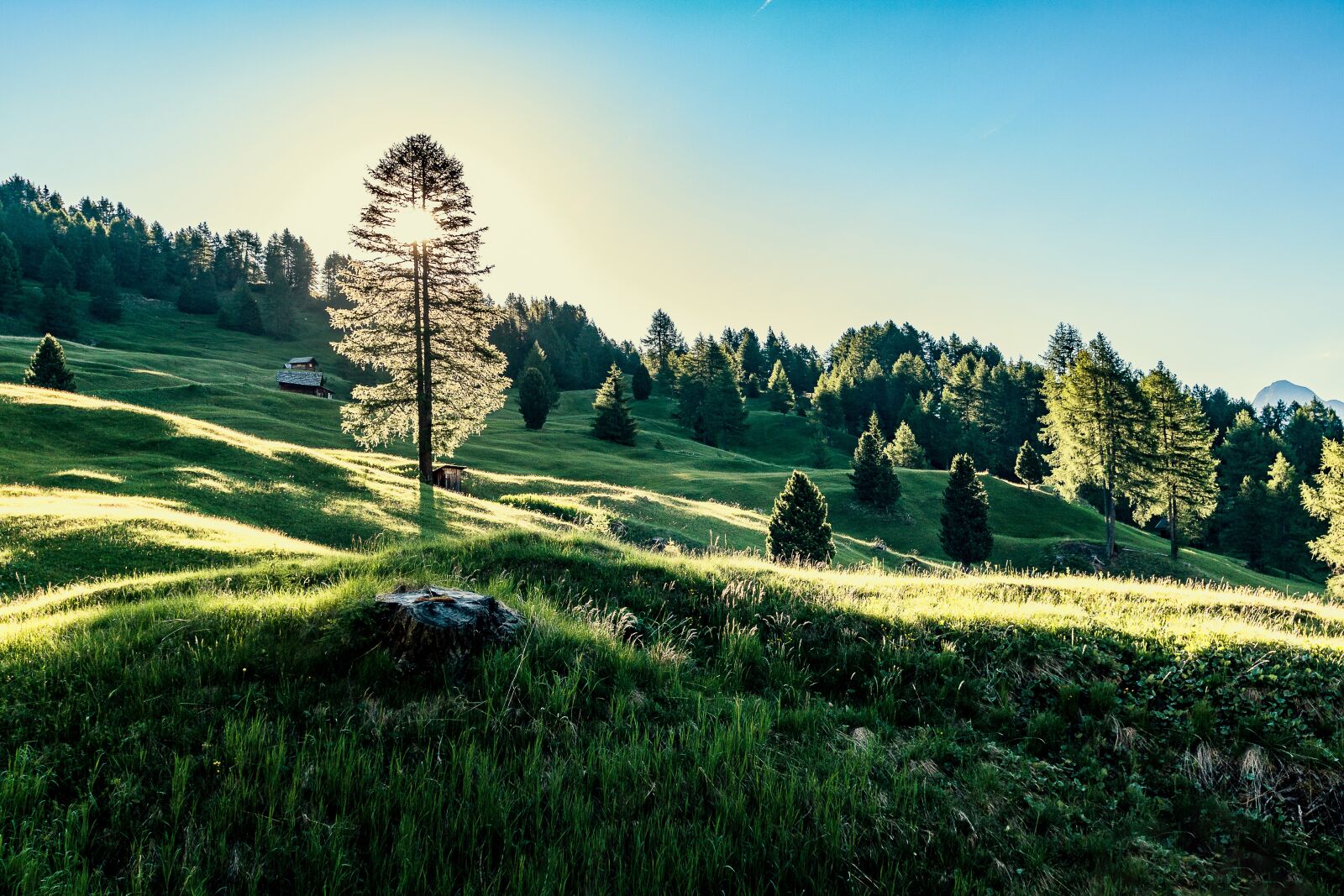 Canon EOS 70D sample photo. Sun, sunlight, sunbeam photography