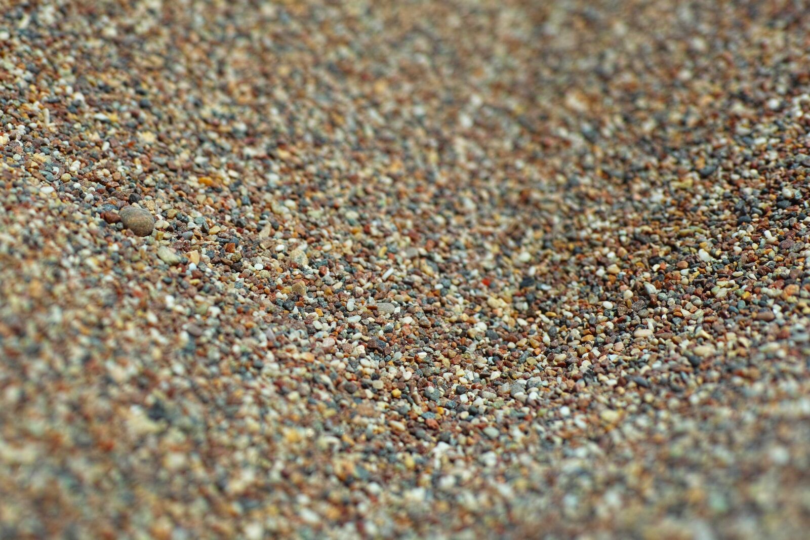 Sigma DP3 Merrill sample photo. Beach, gravel, sand photography