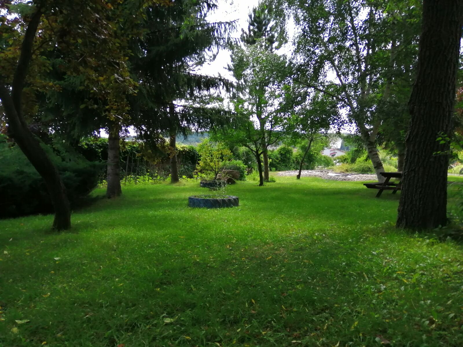 HUAWEI Honor 10 Lite sample photo. Aml yayla, ankara, t photography