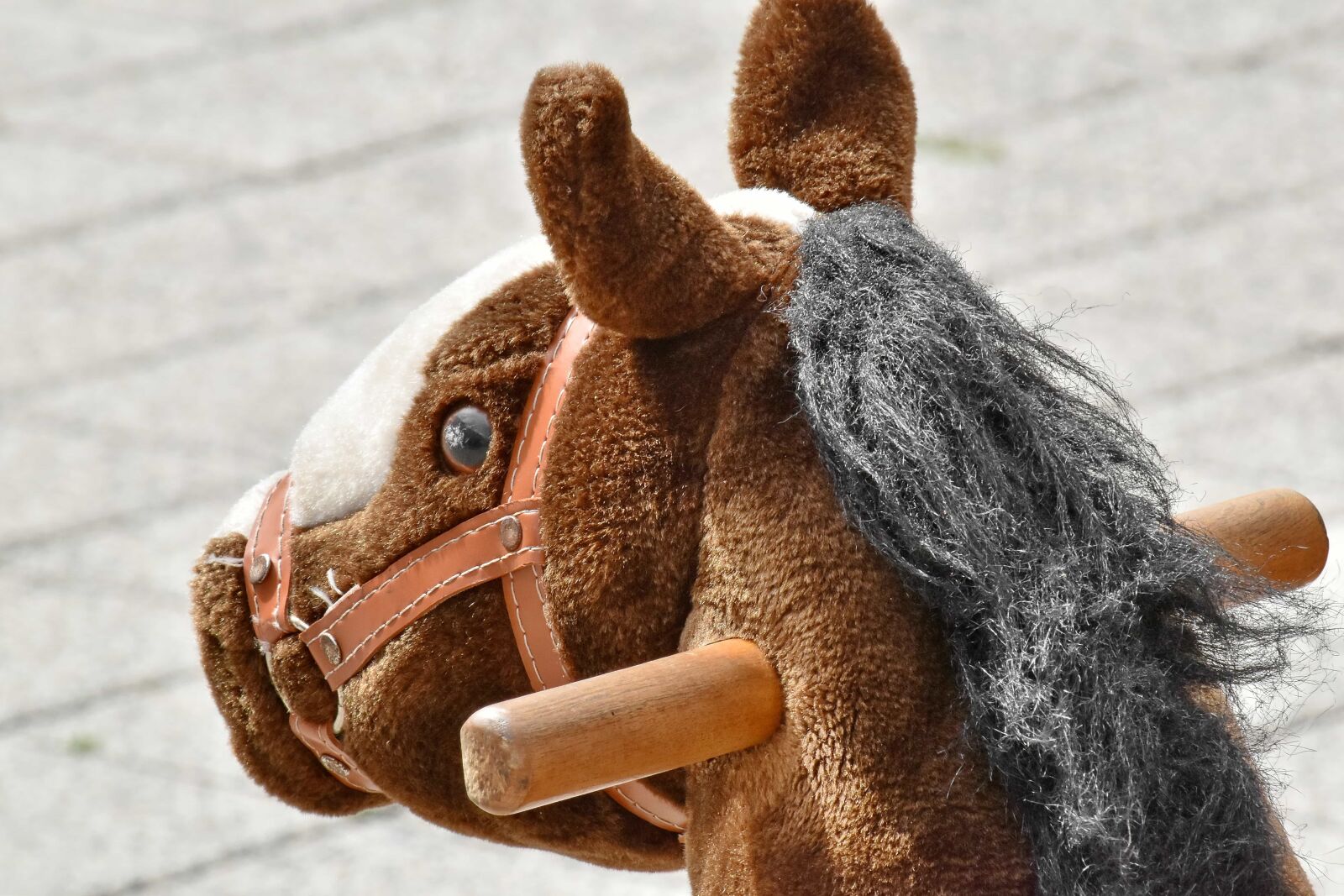 Nikon D5500 sample photo. Horse, mascot, plush, toy photography