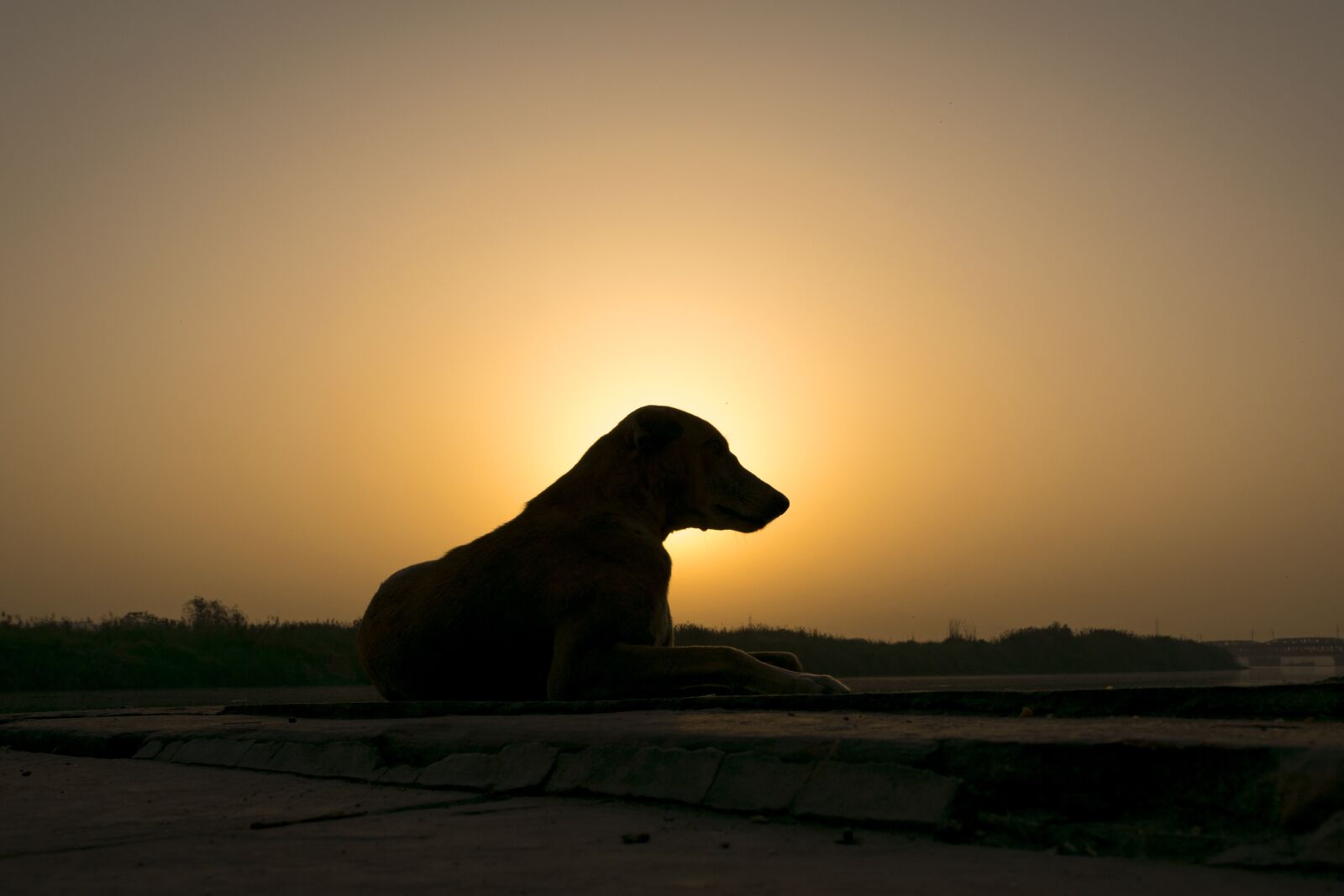 Nikon D3300 sample photo. Sunrise, sunset, dawn photography