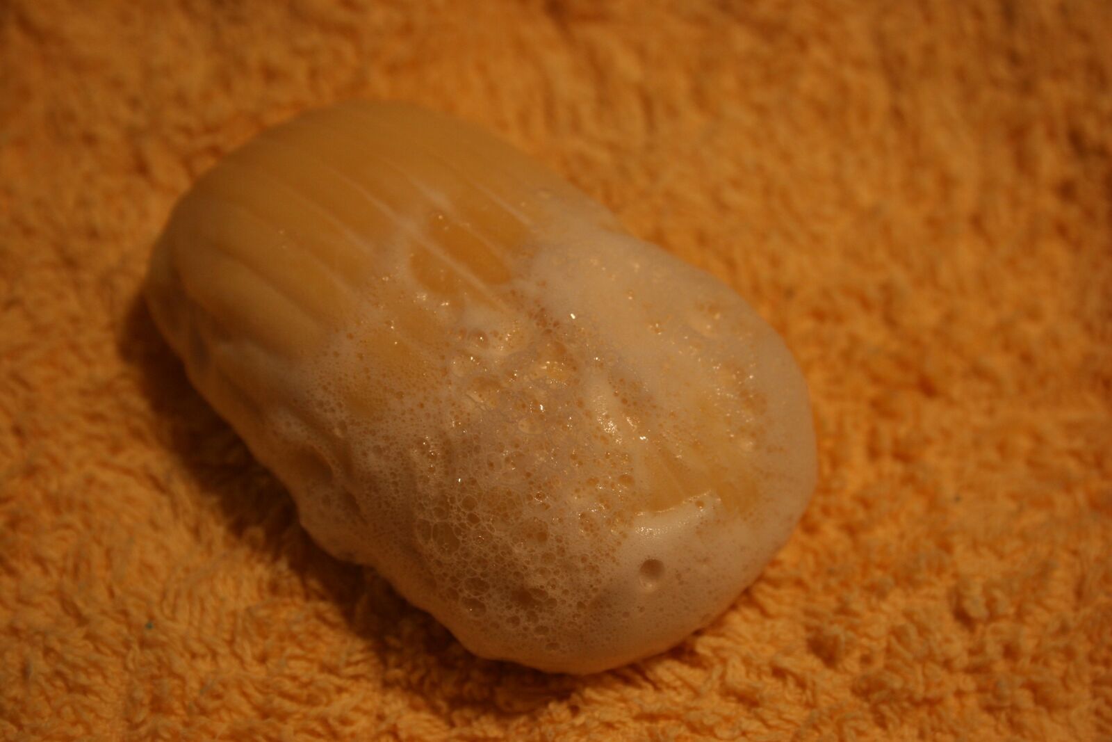 Canon EOS 20D sample photo. Soap, foam, wash photography