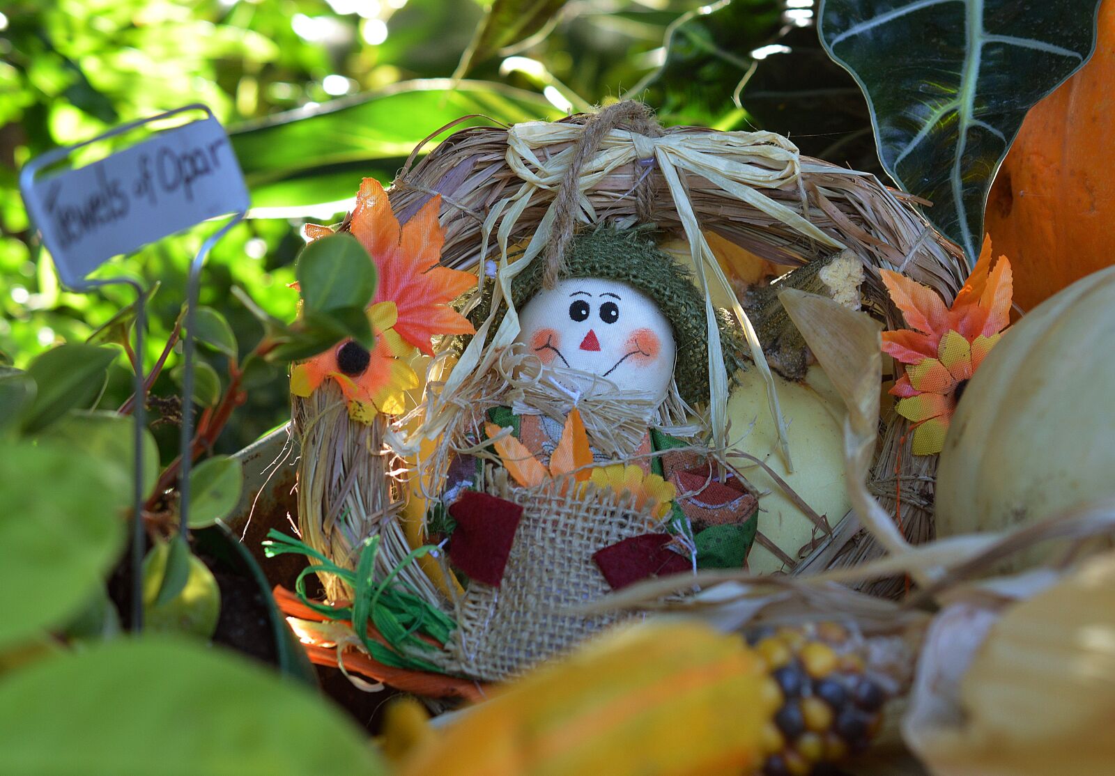 Nikon D3200 sample photo. Scarecrow, doll, fall photography