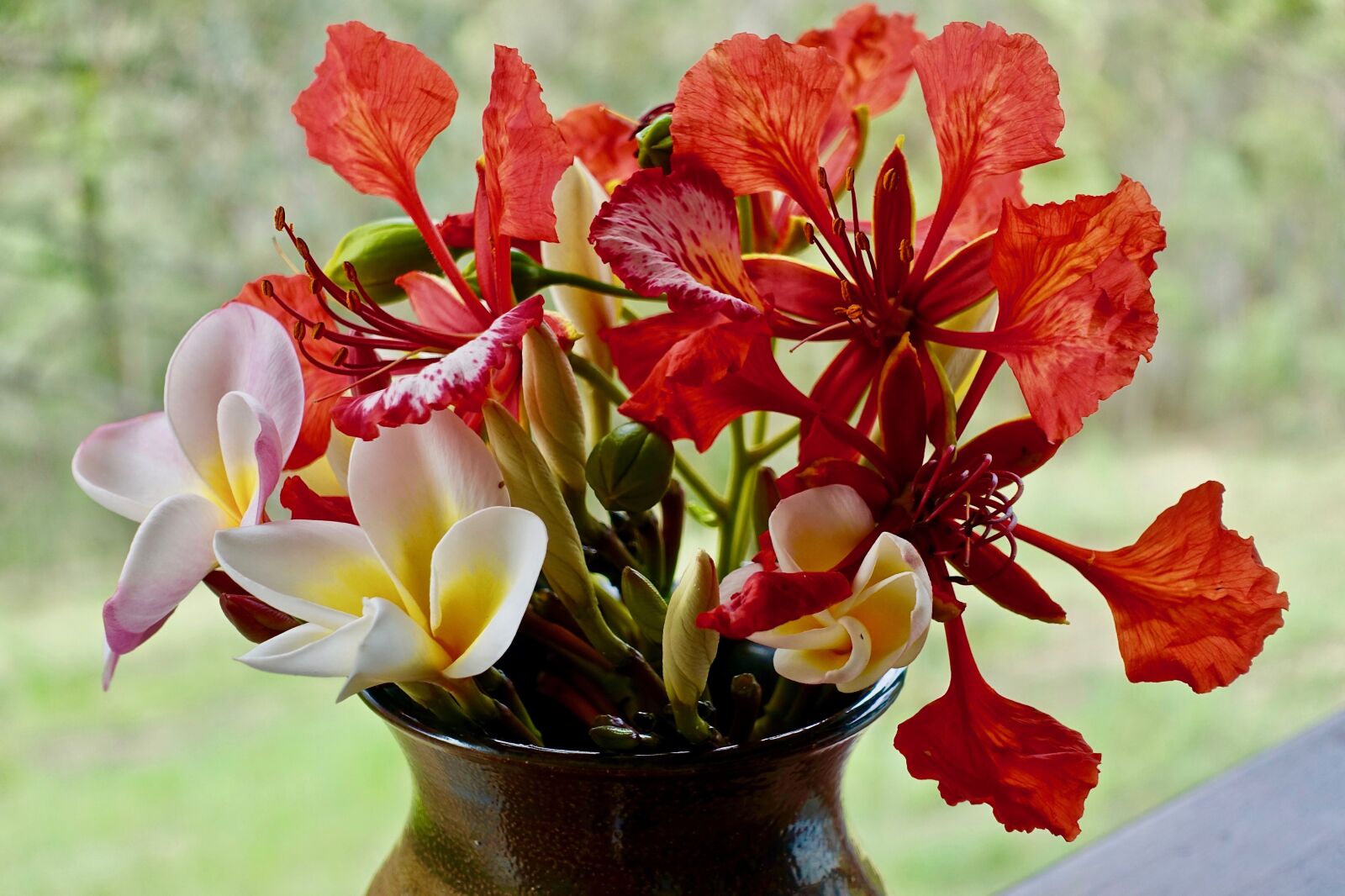 Sony Cyber-shot DSC-RX100 III sample photo. Petals, colourful, flowers photography