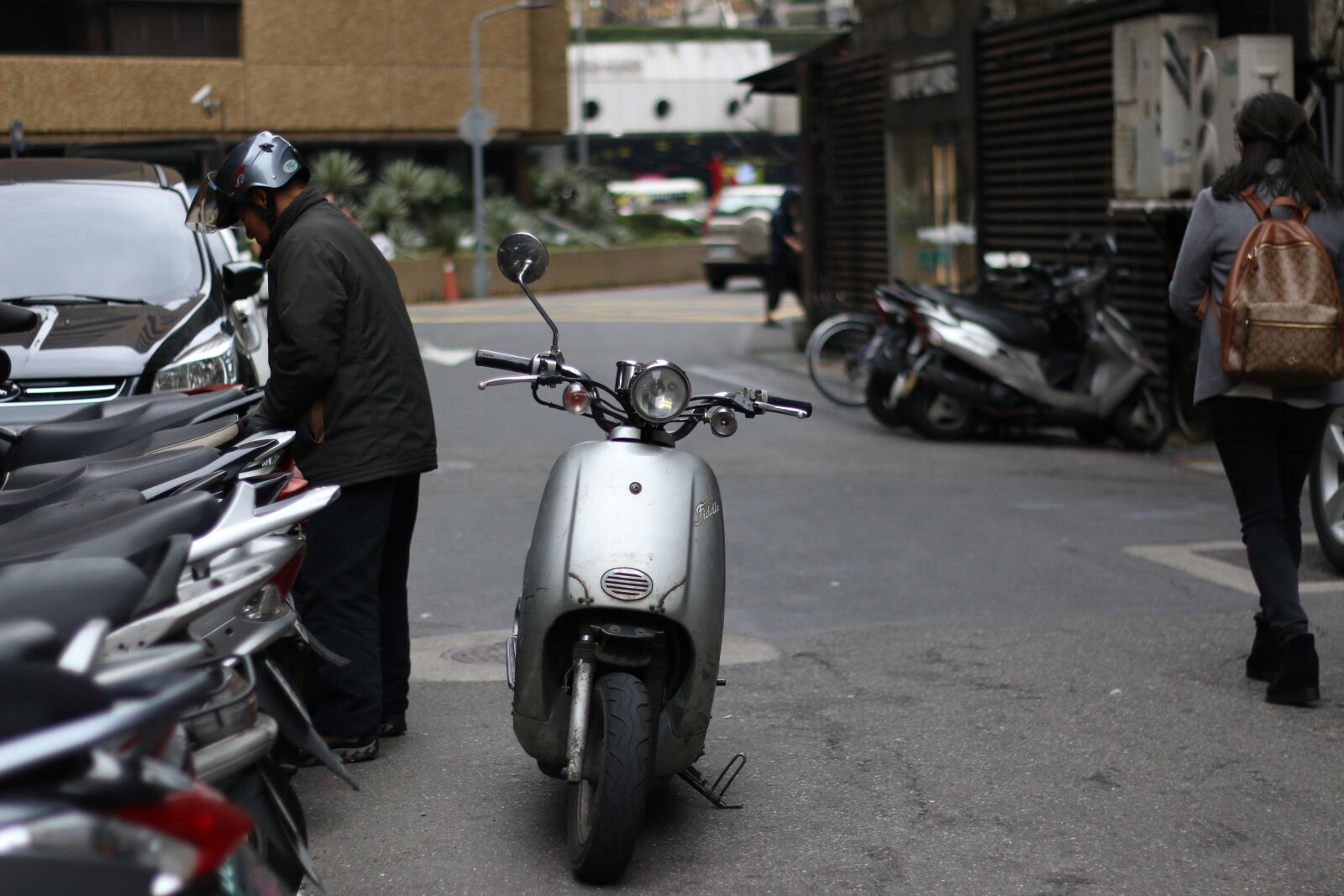 Canon EOS 70D + Canon EF 50mm F1.8 II sample photo