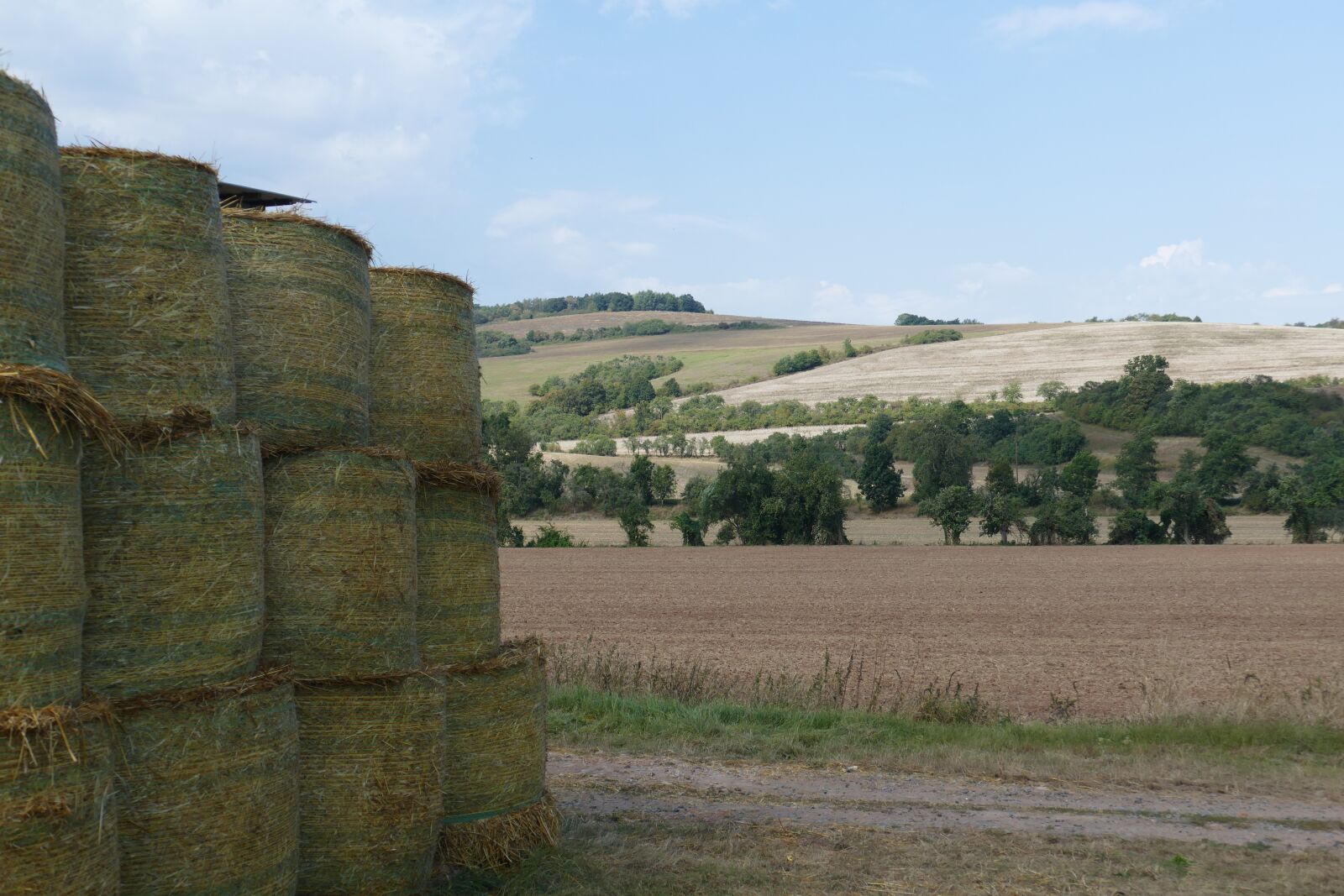Panasonic Lumix DMC-FZ1000 sample photo. Landscape, panorama, straw bales photography
