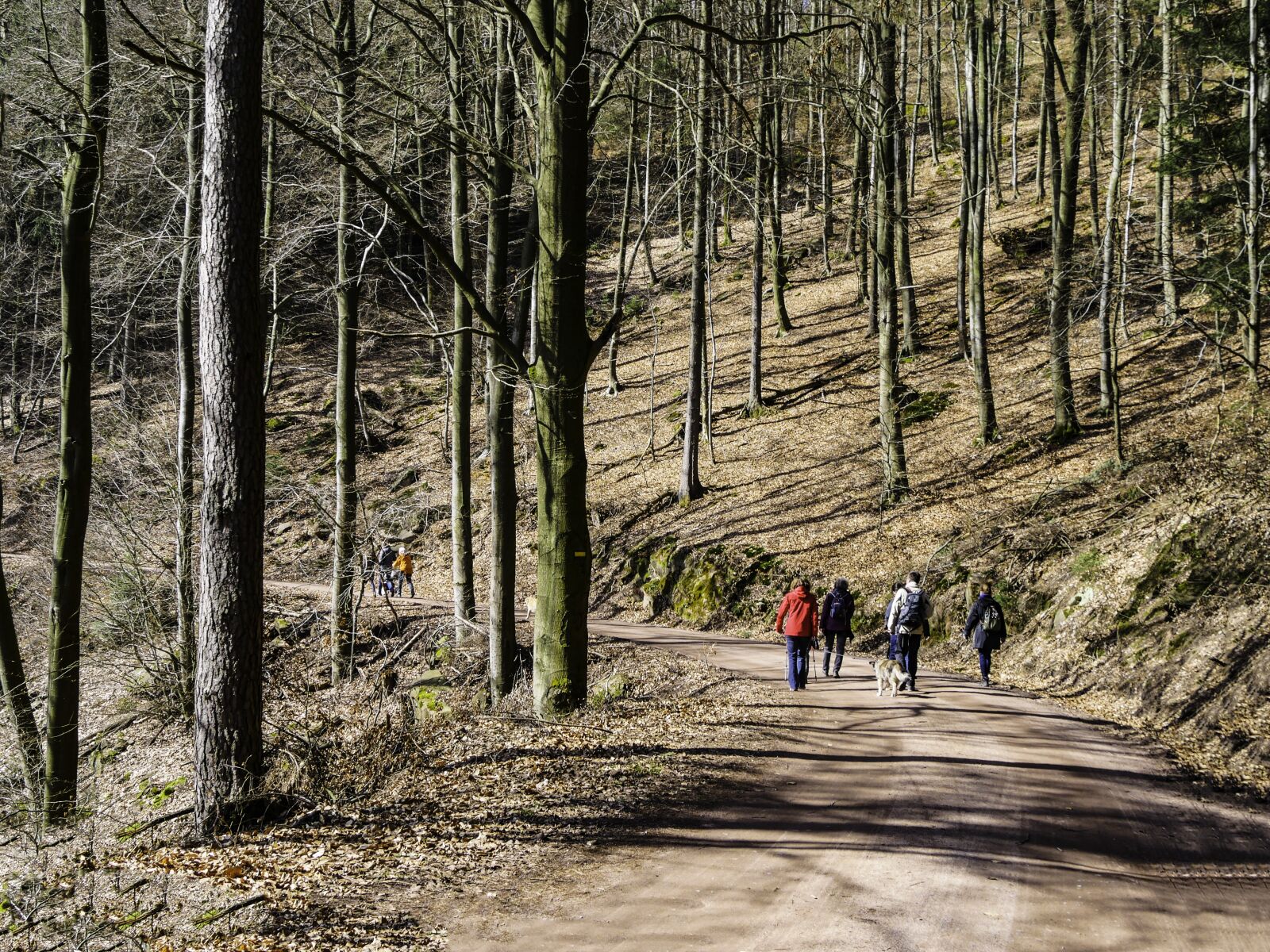 Panasonic Lumix DMC-GX8 sample photo. Hiking, family, group photography