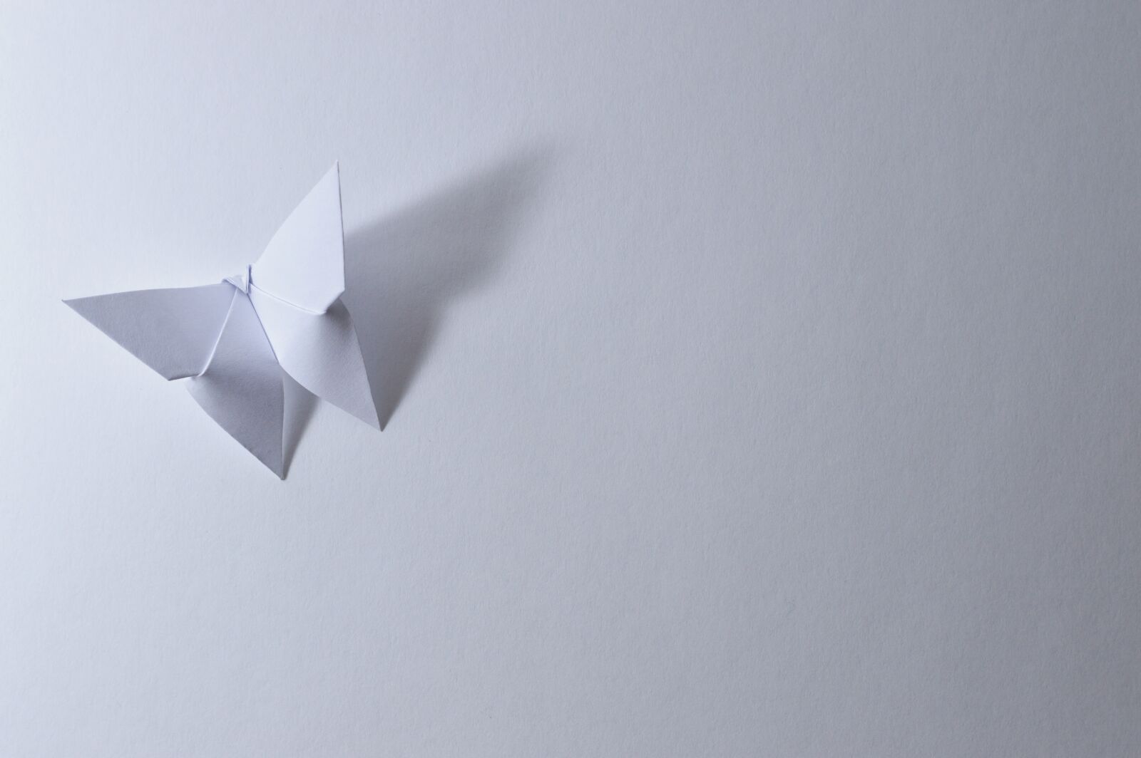 Nikon D3200 sample photo. Origami, butterfly, leaf photography
