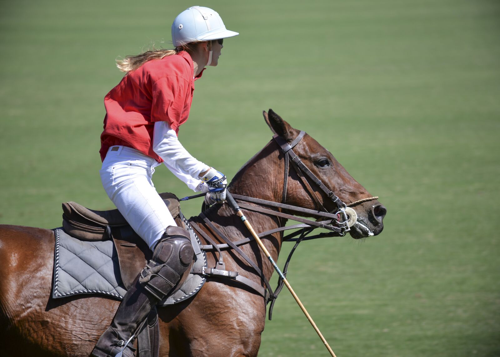 Nikon D610 sample photo. Competition, action energy, horse photography