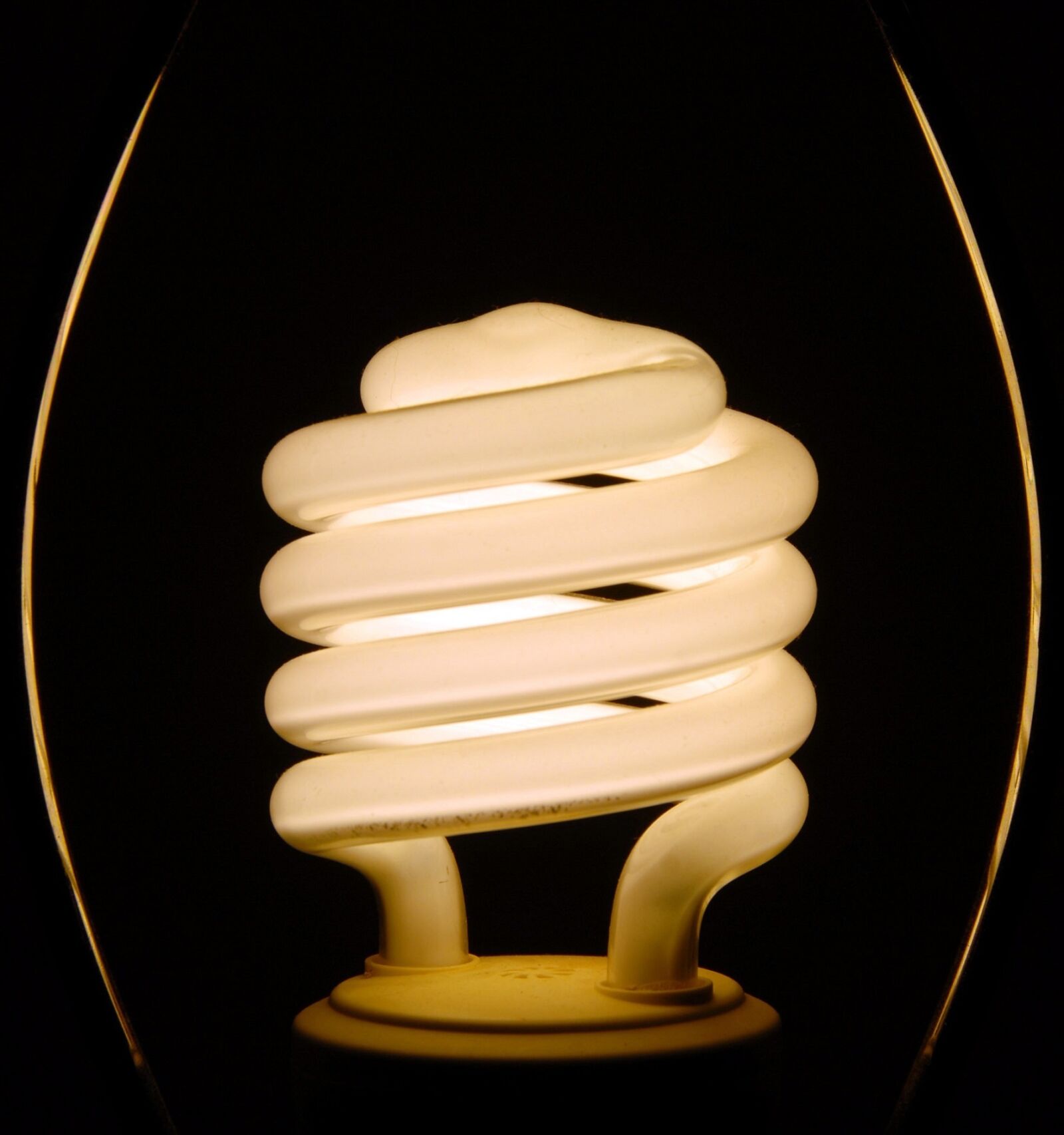 Nikon D200 sample photo. Light bulb, compact, fluorescent photography