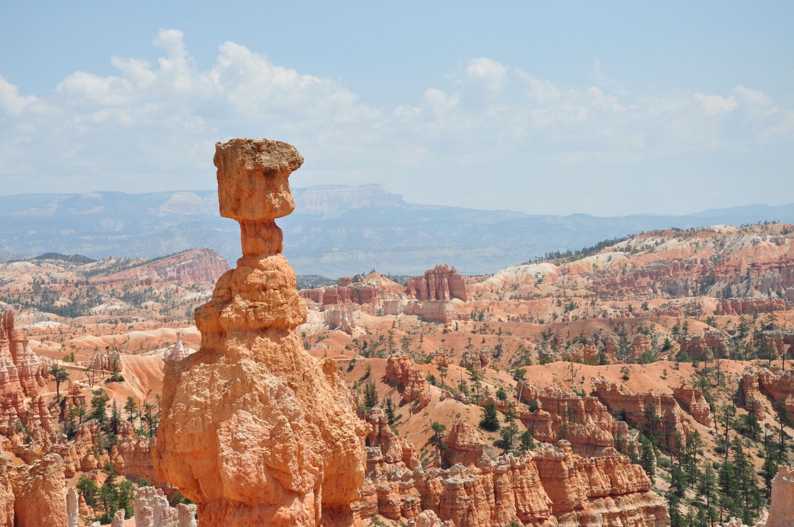 Nikon D90 sample photo. Bryce canyon, national park photography