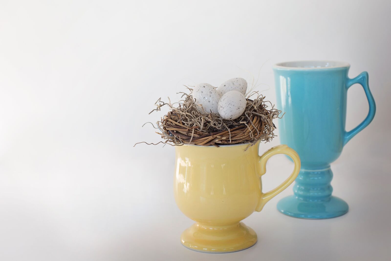 Canon EF 50mm F1.4 USM sample photo. Mugs, bird's nest, bird photography