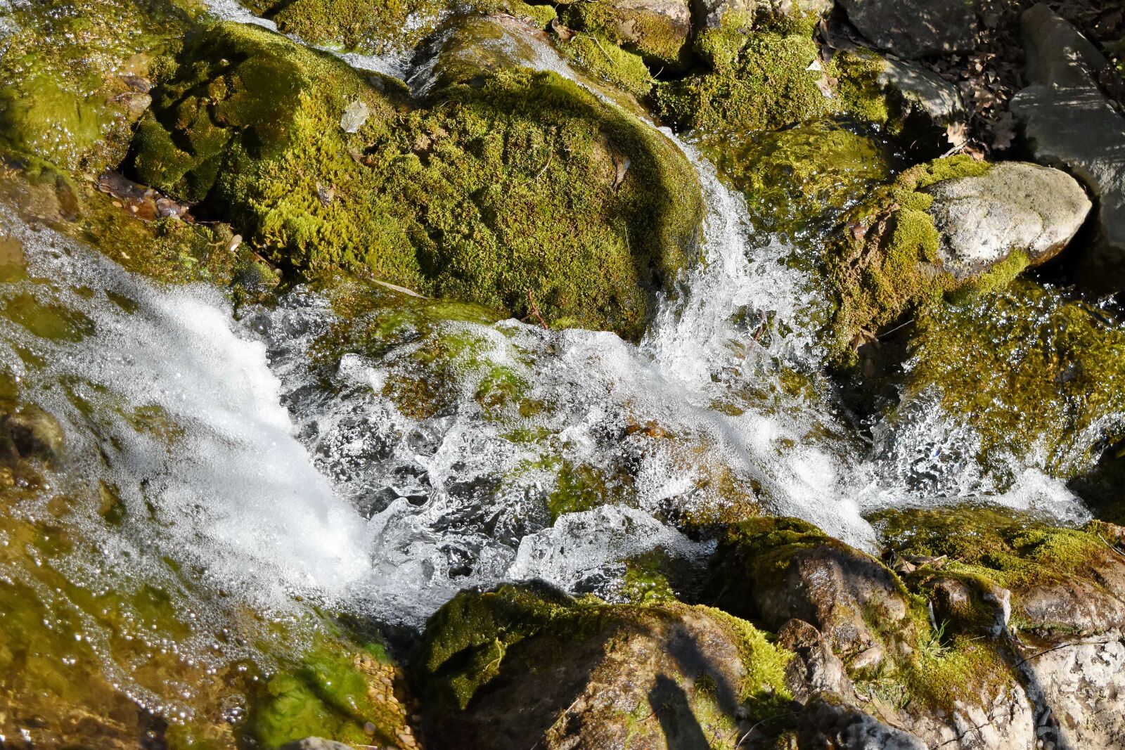 Nikon D5500 sample photo. Nature, rock, stone, forest photography