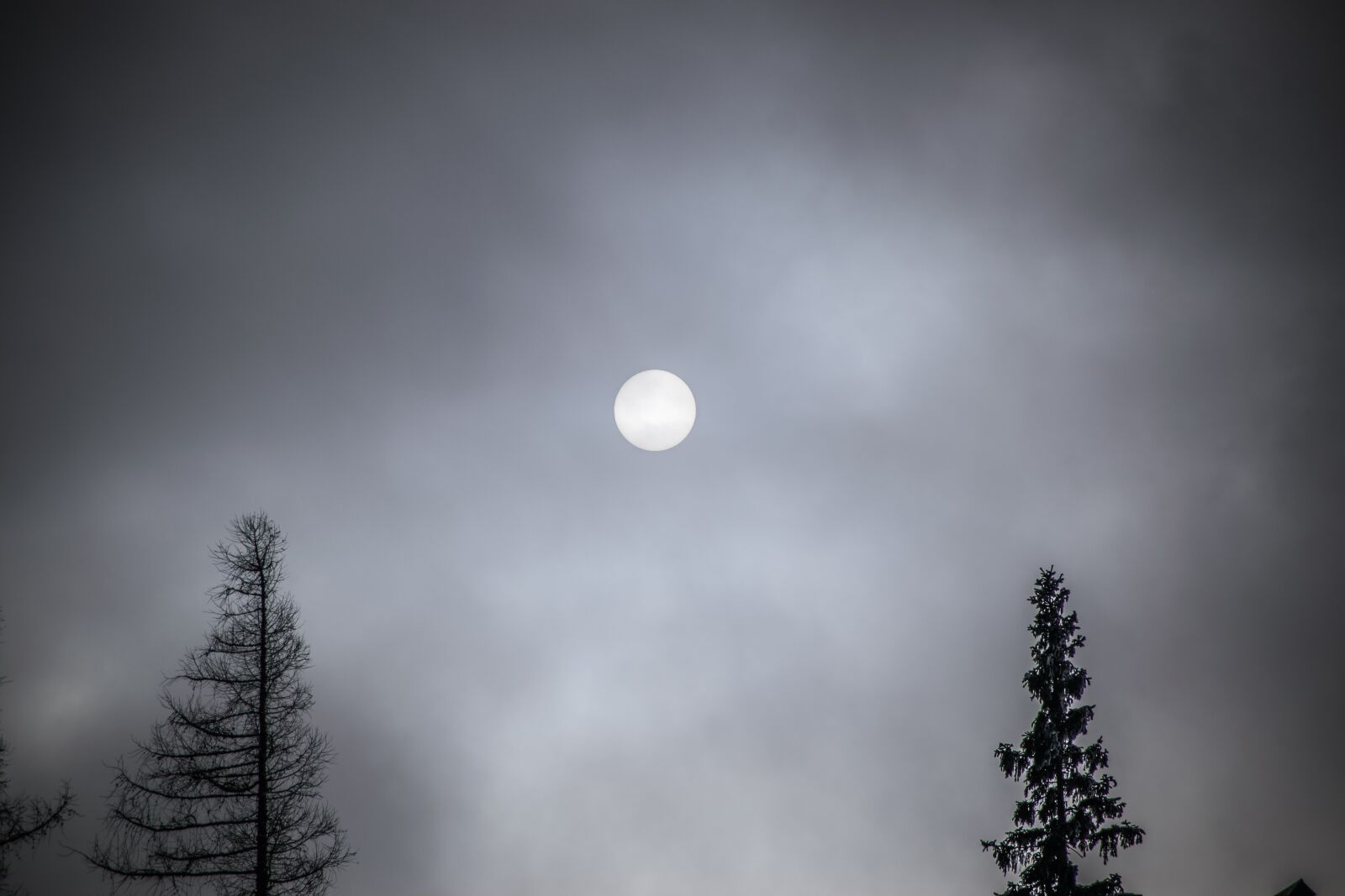 Nikon D5300 sample photo. Sky, fog, heaven photography